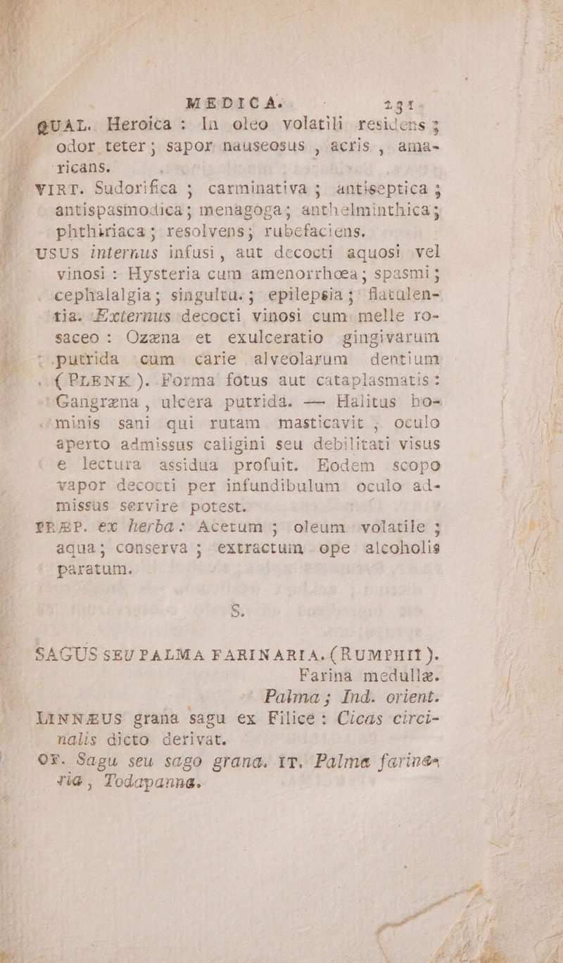 MEDICA... - 2941; QUAL. Heroica : In oleo volatili residens 3 Krodor. teter ; sapor nauseosus , acris , ama- ‘ricans. | È VIRT. Sudorifica ; carminativa; antiseptica 5 antispasmodica; menagoga; anthelminthica; phthiriaca ; resolvens; rubefaciens. SERIUS internus infusi, aut decocti aquosi vel vinosi : Hysteria euim amenorrhoea; spasmi; cephalalgia; singultu. 5; epilepsia ;' fatalen- 1 tia. Exiernus decocti vinosi cum: melle ro- €; saceo : Ozxna et exulceratio gingivarum 7 t.putrida .cum carie alveolarum dentium T (PLENK )..Forma fotus aut cataplasmatis : minis sani qui rutam masticavit ;. oculo aperto admissus caligini seu debilitati visus e lectura assidua profuit. Eodem .scopo vapor detoti: per infundibulum RA ad- missus servire potest. PREP. ex herba: Acetum ; oleum. volatile 3 aqua; conserva ; extractum ope alcoholis paratum. Si UNES dp ipo mie Va ie OM DEL SAGUS SEUPALMA FARINARIA. (RUMPHIT ). Farina medulla. Palma; Ind. orient. LINNJEUS grana sagu ex Filice : Cicas circi- nalis dicto derivat. ‘OF. Sagu seu sago grana. IT. Palma farinda | ria, Todapanna. oe ue. A