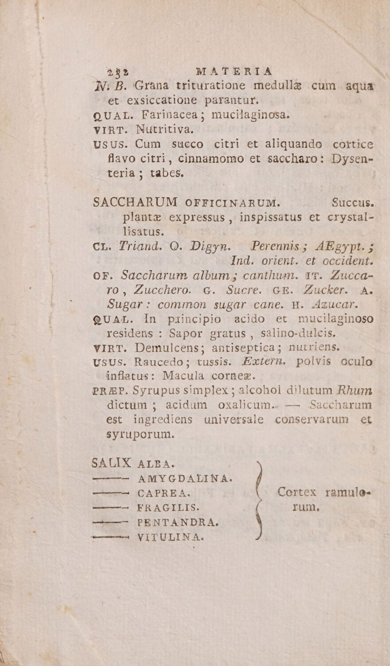 N: B. Grana trituratione medulla cum aqua et exsiccatione parantur. QUAL. Farinacea ; mucilaginosa. vIRT. Nutritiva. usus. Cum succo citri et aliquando cortice flavo citri, cinnamomo et saccharo: Dysen- teria ; tabes. SACCHARUM OFFICINARUM. Succus. plantz expressus , inspissatus et crystal- lisatus. CL. Triand. O. Digyn. Perennis; AEgypt. ; Ind. orient. et occident. OF. Saccharum album; canthum. 1T. Zucca- ro, Zucchero. G. Sucre. GE. Zucker. A. Sugar: common sugar cane. H. Azucar. QUAL. In piincipio acido et mucilaginoso residens : Sapor gratus, salino-dulcis. vIRT. Demulcens; antiseptica; nutriens. USUS. Raucedo; tussis. Exterr. polvis oculo inflatus: Macula cornez. PREP. Syrupus simplex; alcohol dilutum Rhum dictum ; acidum oxalicum.. — .Saccharum est ingrediens universale conservarum et syruporum. SALIX ALBA. | ——— AMYGDALIN A. ———— CAPREA. Certex ramule« ——— FRAGILIS. rum. ———- PENTANDRA.