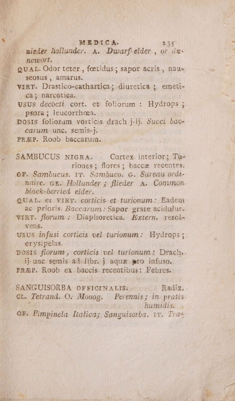 MEDICA. © $3 mieder hollunder. A. Dwarf elder , or ág« nevwort. | QUAL. Odor teter, feetidus ; ; sapor acris, nau» seosus , afa£us: ca; narcotiga. * psora; leucorrhoea. carum. unc. semis-). PRAP. Roob baccaruin. SAMBUCUS NIGRA. Cortex interior; Tu» riones; flores; bacca recentes. or. Sambucus. Yv. Sambuco. 6. Sureau ordi- black-berried elder. QUAL. et VIRT. corticis- et turionum: Eadem ac prioris. Baccarum : Sapor grate acidulus. vens. erysipelas. ij-unc semis.ad libr. j aquz sro infuso. PREP. Roob ex baccis. recentibus: Febres. x humidis.