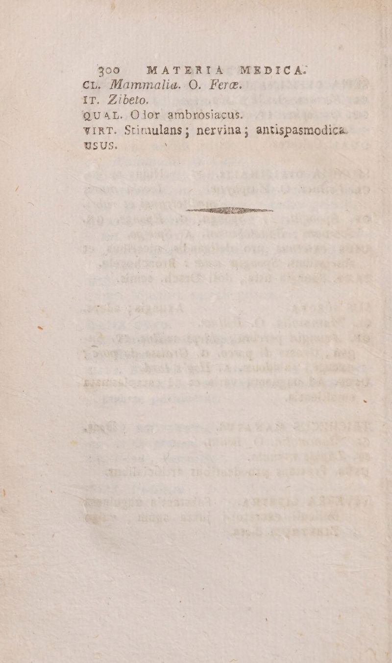CL. Mammalia. O. Fere. IT. Zibeto. QUAL. Olor ambrosiacus. VIRT. Stirulans; nervina; antispasmodica. USUS. \