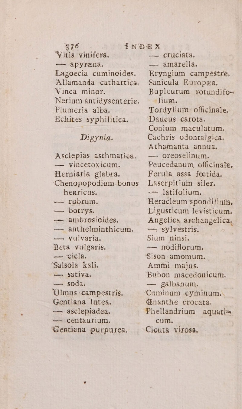 76 Vitis vinifera. —. apyrena. Lagoecia cuminoides. Allamanda -cathartica. Vinca minor. Nerium ántidysenteric. Plumeria alba. Echites syphilitica. Digynia. Asclepias asthmatica. — vincetoxicum. Herniaria glabra. Chenopopodium bonus henricus. rubrum. botrys. ambrosioides. anthelminthicum. vulvaria. Beta vulgaris. -— ccicla. 'Salsola kali. —. sativa. —. soda. Ulmus campestris. Gentiana lutea. — asclepiadea. — centaurium. Gentiana purpurea. d nni pin n] n] Ire CE UCIALa; — amarella. Eryngium campestre. Sanicula Europza. Buplcurum rotundifo= lium. Tordylium: officinale. Daucus carota. Conium maculatum. Cachris odontalgica. Athamanta annua. — oreoselinum. Peucedanum officinale, Ferula assa foetida. Laserpitium siler. -- latifolium. Heracleum spondilium. Ligusticum levisticum. Angelica archangelica, — sylvéstris. Sium ninsi. — nodiflorum. Amini majus. Bubon macedonicum. — galbanum. (nanthe crocata. Phellandrium aquati=» cum. Cicuta virosa.