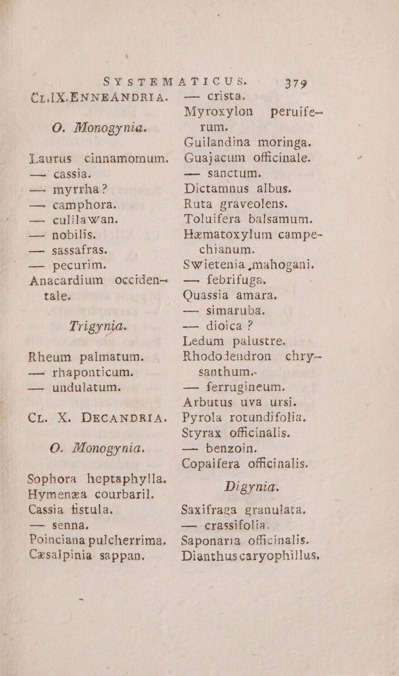 &amp; Cr.IX.ENNEANDRIA. O. Monogynia. Laurus cinnamomum. — cassia. myrrha? camphora. culilawan. nobilis. sassafras. pecurim. Anacardium occiden= tale. EPS Trigynia. Rheum palmatum. —. yhaponticum. — undulatum. CL. X. DECANDRIA. O. Monogynia. Sophora heptaphylia. Hymenza courbaril. Cassia fistula. — senna. Poinciana pulcherrima. Casalpinia sappan. 379 — crista. Myroxylon peruife- rum. Guilandina moringa. Guajacum officinale. —— sanctum. Dictamnus albus. Ruta graveolens. Toluifera balsamum. Hematoxylum campe- chianum. Swietenia ,mahogani. — febrifuga, Quassia amara. — simaruba. — dioica ? Ledum palustre. Rhododeundron chry- santhum. — ferrugineum. Arbutus uva ursi. Pyrola rotundifolia. Styrax officinalis. — benzoin. Copaifera officinalis. Digynia. Saxifrasa granulata. — crassifolia. Saponaria officinalis. Dianthus caryophillus,