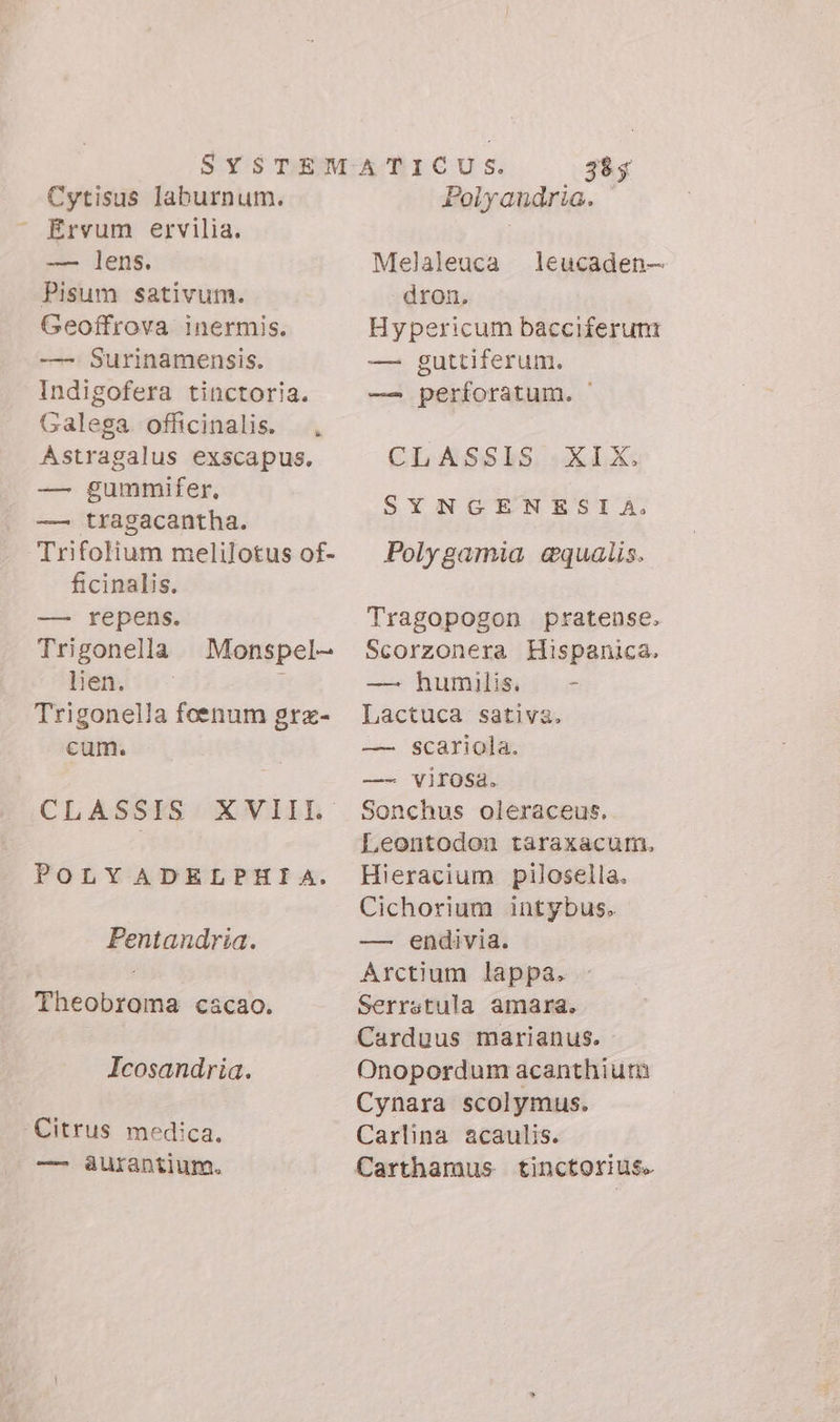 » Cytisus laburnum. Ervum ervilia. —— lens. Pisum sativum. Geoffrova inermis. —- Surinamensis. Indigofera tinctoria. Galega officinalis. , Astragalus exscapus. — gummifer. — tragacantha. Trifolium melilotus of- ficinalis. — repens. Trigonella lien. Trigonella foenum grx- cum. Monspel- POLY ADEELPIHISA. Pentandria. Theobroma cacao. Icosandria. — üurantium. 38 $ Polyandria. Melaleuca leucaden- dron, Hypericum bacciferunt — guttiferum. — perforatum. CLASS$LS «—XLX. SYNGENESIA. Polygamia @qualis. Tragopogon pratense. Scorzonera Hispanica. — humilis. - Lactuca sativa. — scariola. —- virosa. Sonchus oleraceus. Leontodon taraxacum, Hieracium pilosella. Cichorium intybus. — endivia. Arctium lappa. Serrstula amara. Carduus marianus. Onopordum acanthium Cynara scolymus. Carlina acaulis. Carthamus tinctorius.
