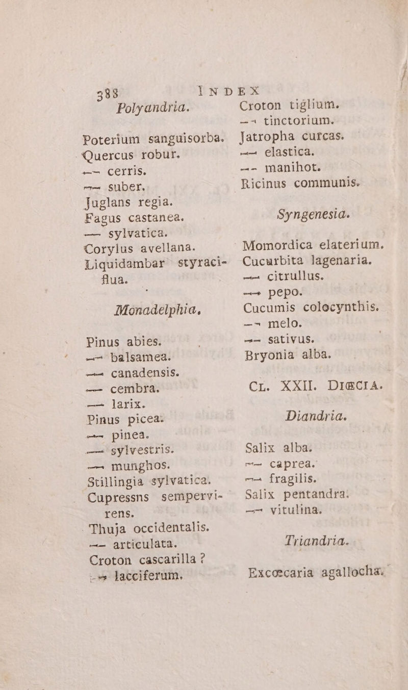 Polyandria. Poterium sanguisorba. Quercus robur. —- cerris. rr Suber. Juglans regia. Fagus castanea. —— sylvatica. Corylus avellana. Liquidambar styraci- flua. Monadelphia, Pinus abies. —^ balsamea. ——2 canadensis. —— cembra. —— ]arix. Pinus picea. —— pinea. —— sylvestris. — munghos. Stillingia sylvatica. Cupressns sempervi- rens. | Thuja occidentalis. —— articulata. Croton cascarilla ? -- lacciferum. Croton tiglium. —4 tinctorium. Jatropha curcas. —— elastica. —- manihot. Syngenesia. Momordica elaterium. Cucurbita lagenaria. —— Citrullus. nd pepo. Cucumis colocynthis. —- melo. -- Sativus. Bryonia alba. Cr. XXII. DIEGIA: Diandria. Salix alba. m- Caprea. —— fragilis. Salix pentandra. —- vitulina. Triandria. Excoecaria agallocha.