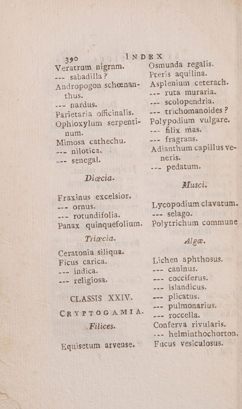 Veratrüm nigrnm. --- sabadilla ? Andropogon schoenan- thus. --- pardus. Parietaria officinalis. Ophioxylum serpenti- num. Mimosa cathechu. --- nilotica. =» Senegal. Diecia. Fraxinus excelsior. --- Ofrnus. ..- rotundifolia. Panax quinquefolium. Triocia. Ceratonia siliqua. Ficus carica. La BOIca. --- religiosa. CLASSIS XXIV. CRYPTOGAMI A. . Filices. Equisetum arvense. Osmunda regalis. Pteris aquilina. Asplenium ceterach. -.- ruta muraria. --. scolopendria. --- trichomanoides ? Polypodium vulgare, --- filix mas. --- fragrans. Adianthum capillus ve- neris. .-. pedatum. Ausci. Lycopodium clavatum. --- selago. Polytrichum commune Alga. Lichen aphthosus. caninus. cocciferus. islandicus. plicatus. --- pulmonarius. --- roccella. Conferva rivularis. .-- helminthochorton. Fucus vesiculosus.