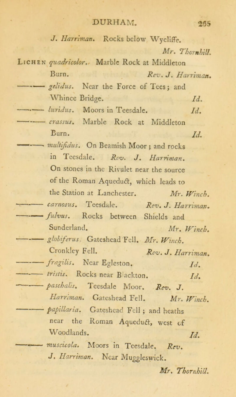 J. Harrlman. Rocks below Wycllffe. Mr. Thornhill. Lichen quadricolor.. Marble Rock at Middleton Rurn* , Rec, J. Harrlman. —— gdidus. Near the Force of Tees; and Whince Bridge. Id. luridus. Moors in Teesdale. Id, crassus. Marble Rock at Middleton Burn. Id, muhlfidus. On Beamish Moor ; and rocks in Teesdale. Rt&lt;v. J. Harritnan. On stones in the Rivulet near the source of the Roman Aquedudl, which leads to the Station at Lanchester. Mr. Winch, carnosus. Teesdale. Rev. J. Harrlman. • fulvus. Rocks between Shields and Sunderland. Mr. Winch. gtoliferus Gateshead Fell. Mr. Winch. Cronkley Fell. Rev. J. Harrlman. fragllls. Near Egleston. Id, trisiis. Rocks near Biackton. Id. paschalis, Teesdale Moor. Rev. J. Harrlman. Gateshead Fell, Mr. Winch. papularia. Gateshead Fell ; and heaths near the Roman Aquedudt, west of Woodlands. jd, musclcola. Moors in Teesdale. Rev. J. Harrlman. Near Muggleswick. Mr. Thornhill.