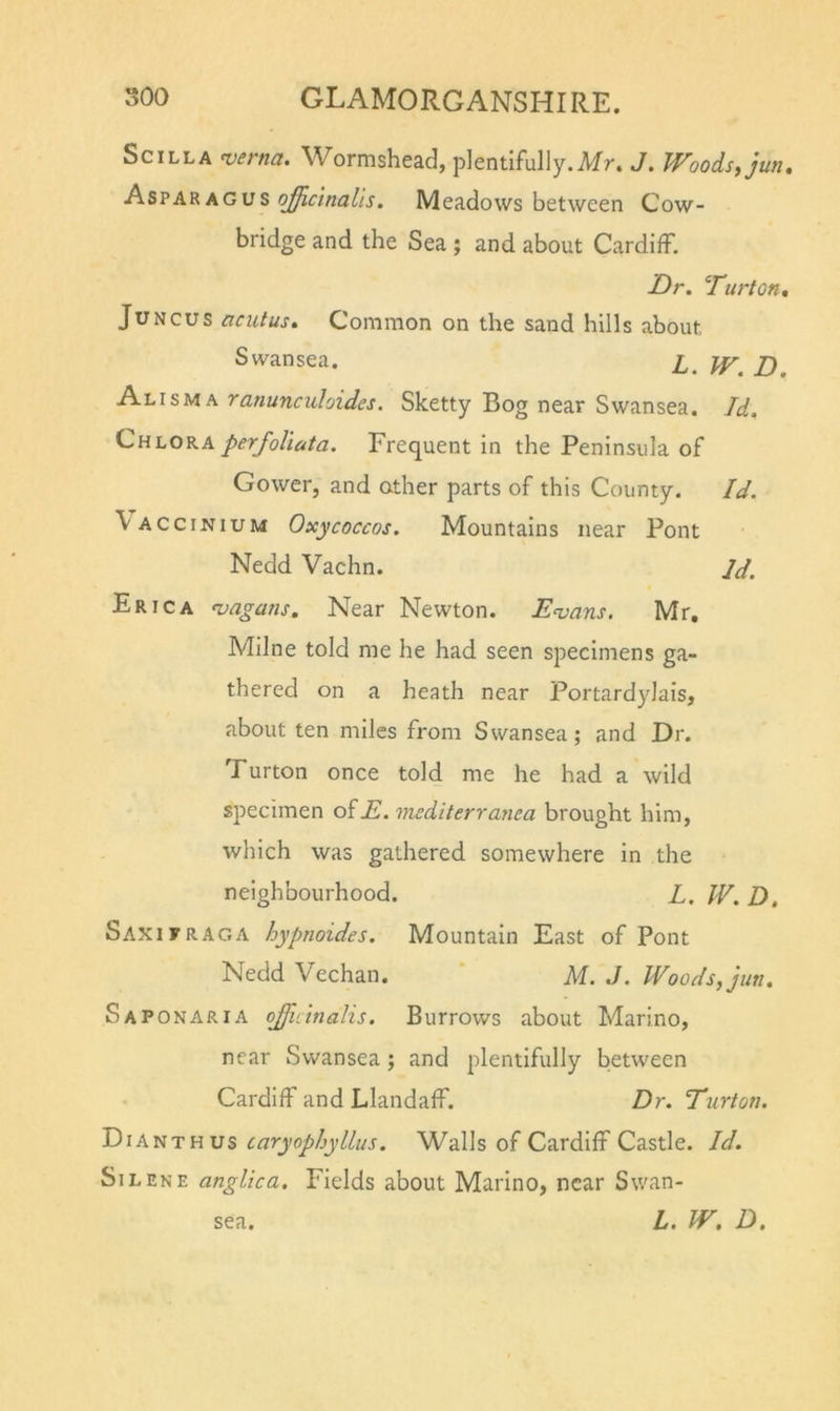 SciLLA wrna. Wormshead, plentifully.Mr. J. Woods, jwu A.&amp;VAV.AGVS o^clnalls. Meadows between Cow- bridge and the Sea ; and about Cardiff. JDr. ^rurton, JuNCUS aciitus* Common on the sand hills about Swansea. l. W. D, Alisma ranunculoides. Sketty Bog near Swansea. Id, ChloraperJoViuta. Frequent in the Peninsula of Gower, and other parts of this County. Id. \accinium Oxycoccos. Mountains near Pont Nedd Vachn. Jd. Erica &lt;vagans. Near Newton. Enians. Mr, Milne told me he had seen specimens ga- thered on a heath near Portardylais, about ten miles from Swansea; and Dr. Turton once told me he had a wild specimen ofE'. viediterratiea brought him, which was gathered somewhere in the neighbourhood. L. IV. D, Saxifraga hypnoides. Mountain East of Pont Nedd Vechan. ‘ M. J. Woods, jun. Saponaria oj'uinalis. Burrows about Marino, near Swansea; and plentifully between Cardiff and Llandaff. Dr. Turton. caryophyllus. Walls of Cardiff Castle. Id. SiLENE anglica. Fields about Marino, near Swan- l. W. D. sea.