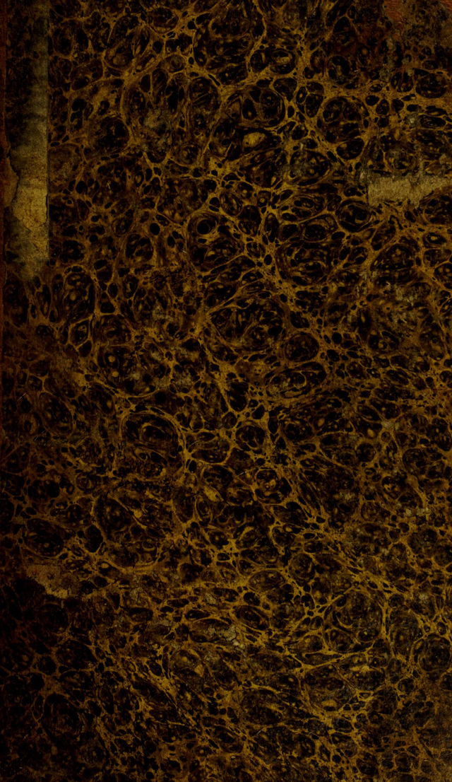 digitised image 1