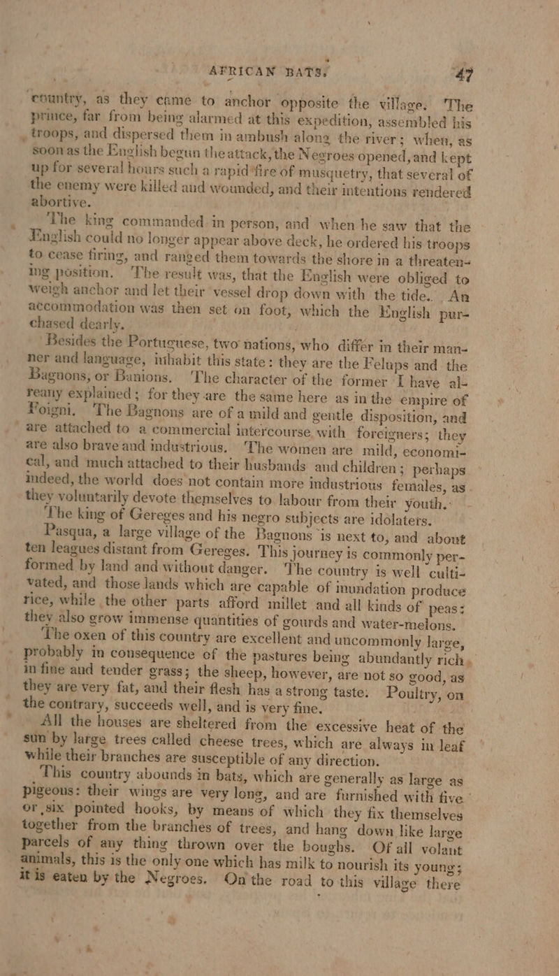 prince, far from being alarmed at this expedition, assembled his troops, and dispersed them in ambush along the river; when, as Soon as the English begun the attack, the Negroes opened, and kept up for several hours such a rapid “fire of musquetry, that several of abortive. it The king commanded in person, and when he saw that the English could no longer appear above deck, he ordered his troops to cease firing, and ranged them towards the shore in a threaten= ing position. The result was, that the English were obliged to weigh anchor and let their ‘vessel drop down with the tide. An accommodation was then set on foot, which the English pur- chased dearly. | Besides the Portuguese, two nations, who différ in their man- ner and language, inhabit this state: they are the Felups and the Bagnons, or Banions. The character of the former I have al- reany explained ; for they are the same here as in the empire of Foigni. The Bagnons are of a mild and gentle disposition, and are attached to a commercial intercourse with foreigners; they are also brave and industrivus. The women are mild, economi- cal, and much attached to their husbands and children ; perhaps indeed, the world does not contain more industrious females, as they voluntarily devote themselves to labour from their youth, ‘The king of Gereges and his negro subjects are idolaters. Pasqua, a large village of the Bagnons ‘is next to, and about ten leagues distant from Gereges. This journey is commonly per- formed by land and without danger. The country 1s well culti- vated, and those lands which are capable of inundation produce rice, while the other parts afford millet and all kinds of peas: they also grow immense quantities of gourds and water-melons. ‘The oxen of this country are excellent and uncommonly large, probably in consequence of the pastures being abundantly rich, in fine and tender grass; the sheep, however, are not so good, as they are very fat, and their flesh has a strong taste: Poultry, on the contrary, succeeds well, and is very fine. à | All the houses are sheltered from the excessive heat of the sun by large trees called cheese trees, which are always in leaf while their branches are susceptible of any direction. This country abounds in bats, which are generally as large as pigeous: their wings are very long, and are furnished with five : or six pointed hooks, by means of which they fix themselves together from the branches of trees, and hang down like large parcels of any thing thrown over the boughs. Of ail volant itis eaten by the Negroes. On the road to this village there