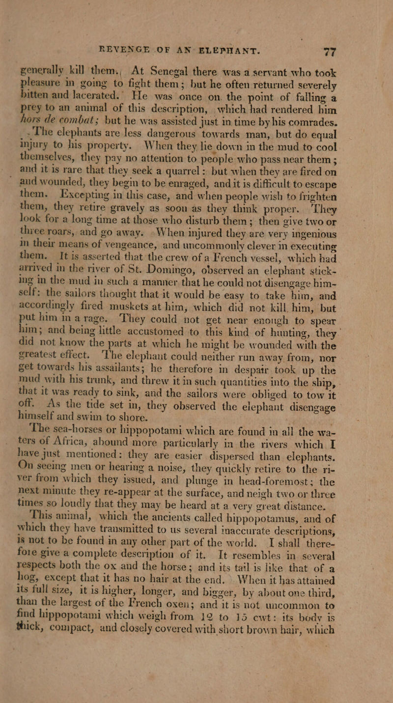 generally kill them., At Senegal there was a servant who took pleasure in going to fight them; but he often returned severely bitten and lacerated.’ He was once on. the point of falling a prey to an animal of this description, which had rendered him hors de combat; but he was assisted just in time by his comrades. - The elephants are less dangerous towards man, but do equal injury to his property. When they lie down in the mud to cool themselves, they pay no attention to people who pass near them ; and it is rare that they seek a quarrel : but when they are fired on aud wounded, they begin to be enraged, and it is difficult to escape them. Excepting in this case, and when people wish to frighten them, they retire gravely as soon as they think proper. They look for a long time at those who disturb them; then give two or three roars, and go away. : When injured they are very ingenious in their means of vengeance, and uncommonly clever in executing them. It is asserted that the crew of a French vessel, which had arrived in the river of St. Domingo, observed an elephant stick- ing in the mud in such a manner that he could not disengage him- self: the sailors thought that it would be easy to take him, and accordingly fired muskets at him, which did not kill him, but put him in a rage. They could not get near enough to spear him; and being little accustomed to this kind of hunting, they. did not know the parts at which he might be wounded with the greatest effect. ‘The elephant could neither run away from, nor get towards his assailants; he therefore in despair took up the mud with his trunk, and threw it in such quantities into the ship, that it was ready to sink, and the sailors were obliged to tow it off. As the tide set in, they observed the elephant disengage himself and swim to shore. ‘The sea-horses or hippopotami which are found in all the wa- ters of Africa, abound more particularly in the rivers which I have just mentioned: they are easier dispersed than elephants. On seeing men or hearing a noise, they quickly retire to the ri- ver from which they issued, and plunge in head-foremost: the next minute they re-appear at the surface, and neigh two or three times so loudly that they may be heard at a very great distance. This animal, which the ancients called hippopotamus, and of which they have transmitted to us several inaccurate descriptions, is not to be found in any other part of the world. I shall there- fore give a complete description of it. It resembles in several respects both the ox and the horse; and its tail is like that of a hog, except that it has no hair at the end, When it has attained its full size, it is higher, longer, and bigger, by about one third, than the largest of the French oxen; and it is not uncommon to find hippopotami which weigh from 12 to 15 ewt: its body is thick, compact, and closely covered with short brown hair, which