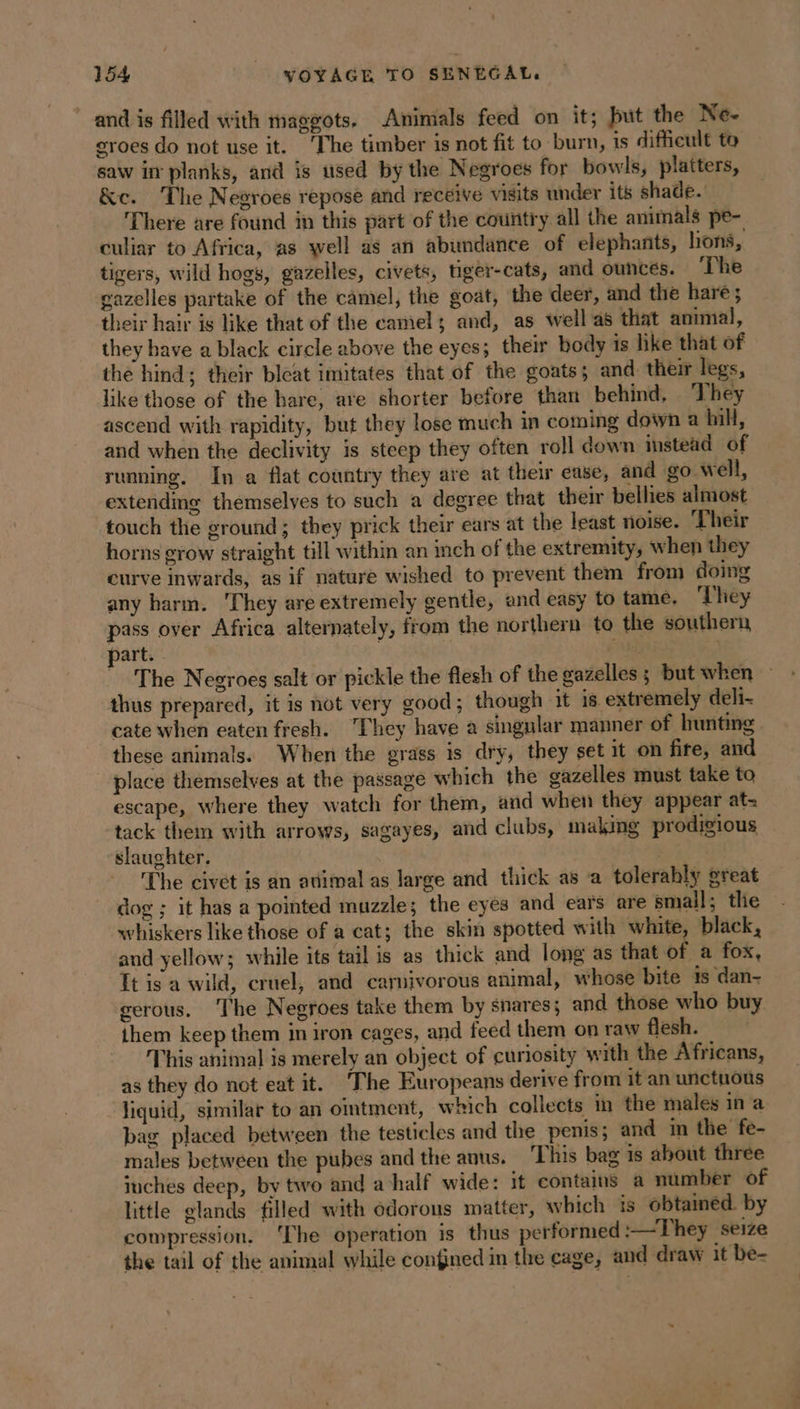 and is filled with maggots. Animals feed on it; but the Ne- groes do not use it. ‘The timber is not fit to burn, is difficult to saw in planks, and is used by the Negroes for bowls, platters, &amp;c. The Negroes repose and receive visits under its shade. There are found in this part of the country all the animals pe- culiar to Africa, as well as an abundance of elephants, lions, tigers, wild hogs, gazelles, civets, tiger-cats, and ounces. The gazelles partake of the camel, the goat, the deer, and the haré; their hair is like that of the camel; and, as well as that animal, they have a black circle above the eyes; their body is like that of the hind; their bleat imitates that of the goats; and. their legs, like those of the hare, are shorter before than behind, They ascend with rapidity, but they lose much in coming down a hill, and when the declivity is steep they often roll down instead of running. In a flat country they are at their ease, and go well, extending themselves to such a degree that their bellies almost touch the ground; they prick their ears at the least noise. Their horns grow straight till within an inch of the extremity, when they curve inwards, as if nature wished to prevent them from doing any harm. ‘They are extremely gentle, and easy to tame. They pass over Africa alternately, from the northern to the southern part. of The Negroes salt or pickle the flesh of the gazelles ; but when - thus prepared, it is not very good; though it is extremely deli- cate when eaten fresh. They have a singular manner of bunting these animals. When the grass is dry, they set it on fire, and place themselves at the passage which the gazelles must take to escape, where they watch for them, and when they appear at- tack them with arrows, sagayes, and clubs, making prodigious slaughter. | The civet is an adimal as large and thick as a tolerably great dog ; it has a pointed muzzle; the eyes and ears are small; the whiskers like those of a cat; the skin spotted with white, black, and yellow; while its tail is as thick and long as that of a fox, Tt is a wild, cruel, and carnivorous animal, whose bite 1s dan- gerous. The Negroes take them by snares; and those who buy. them keep them in iron cages, and feed them on raw flesh. This animal is merely an object of curiosity with the Africans, as they do not eat it. ‘The Europeans derive from it an unctuous liquid, similar to an omtment, which collects in the males in a bag placed between the testicles and the penis; and in the fe- males between the pubes and the anus. This bag is about three inches deep, by two and a half wide: it contains a number of little glands filled with odorous matter, which is obtained. by compression. ‘The operation is thus performed :—They seize the tail of the animal while confined in the cage, and draw it be-