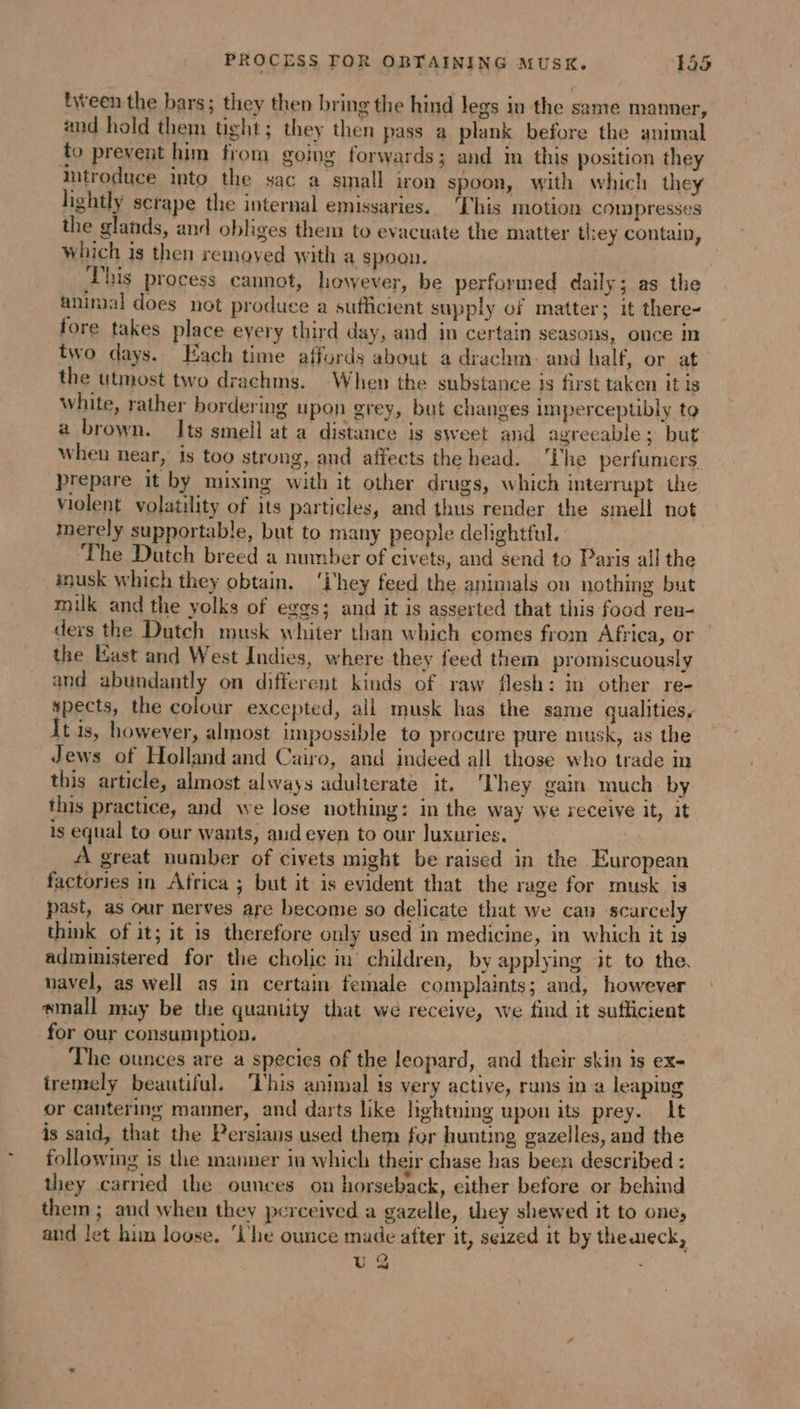 tween the bars; they then bring the hind legs in the same manner, and hold them tight; they then pass a plank before the animal fo prevent him from going forwards; and in this position they mtroduce into the sac a small iron spoon, with which they lightly scrape the internal emissaries. This motion compresses the glands, and obliges them to evacuate the matter they contain, which is then removed with a spoon. This process cannot, however, be performed daily; as the animal does not produce a sufficient supply of matter; it there- fore takes place every third day, and in certain seasons, once in two days. Each time affords about a drachm. and half, or at the utmost two drachms. When the substance is first taken it is white, rather bordering upon grey, but changes imperceptibly to a brown. Its smell at a distance is sweet and agreeable ; but when near, is too strong, and affects the head. The perfumers. prepare it by mixing with it other drugs, which interrupt the violent volatility of its particles, and thus render the smell not Inerely supportable, but to many people delightful. The Dutch breed a number of civets, and send to Paris all the inusk which they obtain. ‘Fhey feed the animals on nothing but milk and the yolks of eggs; and it is asserted that this food ren- ders the Dutch musk whiter than which comes from Africa, or the Last and West Indies, where they feed them promiscuously and abundantly on different kinds of raw flesh: in other re- spects, the colour excepted, all musk has the same qualities, It is, however, almost unpossible to procure pure musk, as the Jews of Holland and Cairo, and indeed all those who trade in this article, almost always adulterate it. ‘They gain much by this practice, and we lose nothing: in the way we receive it, it is equal to our wants, aud even to our luxuries. | A great number of civets might be raised in the European factories in Africa ; but it is evident that the rage for musk is past, as our nerves are become so delicate that we can scarcely think of it; it is therefore only used in medicine, in which it is administered for the cholic in children, by applying it to the. navel, as well as in certain female complaints; and, however small muy be the quantity that we receive, we find it sufficient for our consumption. The ounces are a species of the leopard, and their skin is ex- iremely beautiful. ‘This animal is very active, runs in a leaping or cantering manner, and darts like lightning upon its prey. It is said, that the Persians used them for hunting gazelles, and the following is the manner in which their chase has been described : they carried the ounces on horseback, either before or behind them; and when they perceived a gazelle, they shewed it to one, and let him loose. ‘Lhe ounce made after it, seized it by themeck, U 94