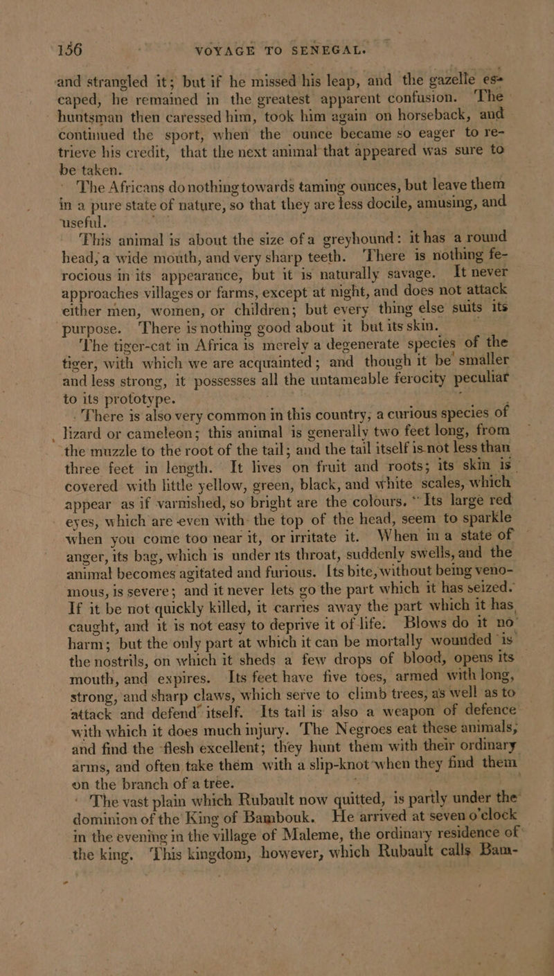and strangled it; but if he missed his leap, and the gazelle es- caped, he remained in the greatest apparent confusion. The — huntsman then caressed him, took him again on horseback, and continued the sport, when the ounce became so eager to re- trieve his credit, that the next animal that appeared was sure to be taken. | © The Africans donothingtowards taming ounces, but leave them in a pure state of nature, so that they are less docile, amusing, and ‘useful. pik | This animal is about the size ofa greyhound: it has a round head, a wide mouth, and very sharp teeth. ‘There is nothing fe- rocious in its appearance, but it is naturally savage. It never approaches villages or farms, except at night, and does not attack either men, women, or children; but every thing else suits its purpose. There isnothing good about it but its skin. ai The tiger-cat in Africa is merely a degenerate species of the tiger, with which we are acquainted; and though it be smaller and less strong, it possesses all the untameable ferocity peculiar to its prototype. * ; _ There is also very common in this country, a curious species of lizard or cameleon; this animal is generally two feet long, from the muzzle to the root of the tail; and the tail itself is not less than three feet in length. It lives on fruit and roots; its skin is covered with little yellow, green, black, and white scales, which appear as if varnished, so bright are the colours. ” Its large red eyes, which are even with- the top of the head, seem to sparkle when you come too near it, or irritate it. When ima state of anger, its bag, which is under its throat, suddenly swells, and the animal becomes agitated and furious. [ts bite, without being veno- mous, is severe; and it never lets go the part which it has seized. If it be not quickly killed, it carries away the part which it has, caught, and it is not easy to deprive it of life. Blows do it no harm; but the only part at which it can be mortally wounded is the nostrils, on which it sheds a few drops of blood, opens its mouth, and expires. Its feet have five toes, armed with long, strong, and sharp claws, which serve to climb trees, as well as to attack and defend’ itself. Its tail is also a weapon of defence with which it does much injury. The Negroes eat these animals, and find the ‘flesh excellent; they hunt them with their ordinary arms, and often take them with a slip-knot when they find them on the branch of a tree. sy * bie © The vast plain which Rubault now quitted, is partly under the dominion of the King of Bambouk. He arrived at seven o'clock in the evening in the village of Maleme, the ordinary residence of the king. ‘This kingdom, however, which Rubault calls. Bam-