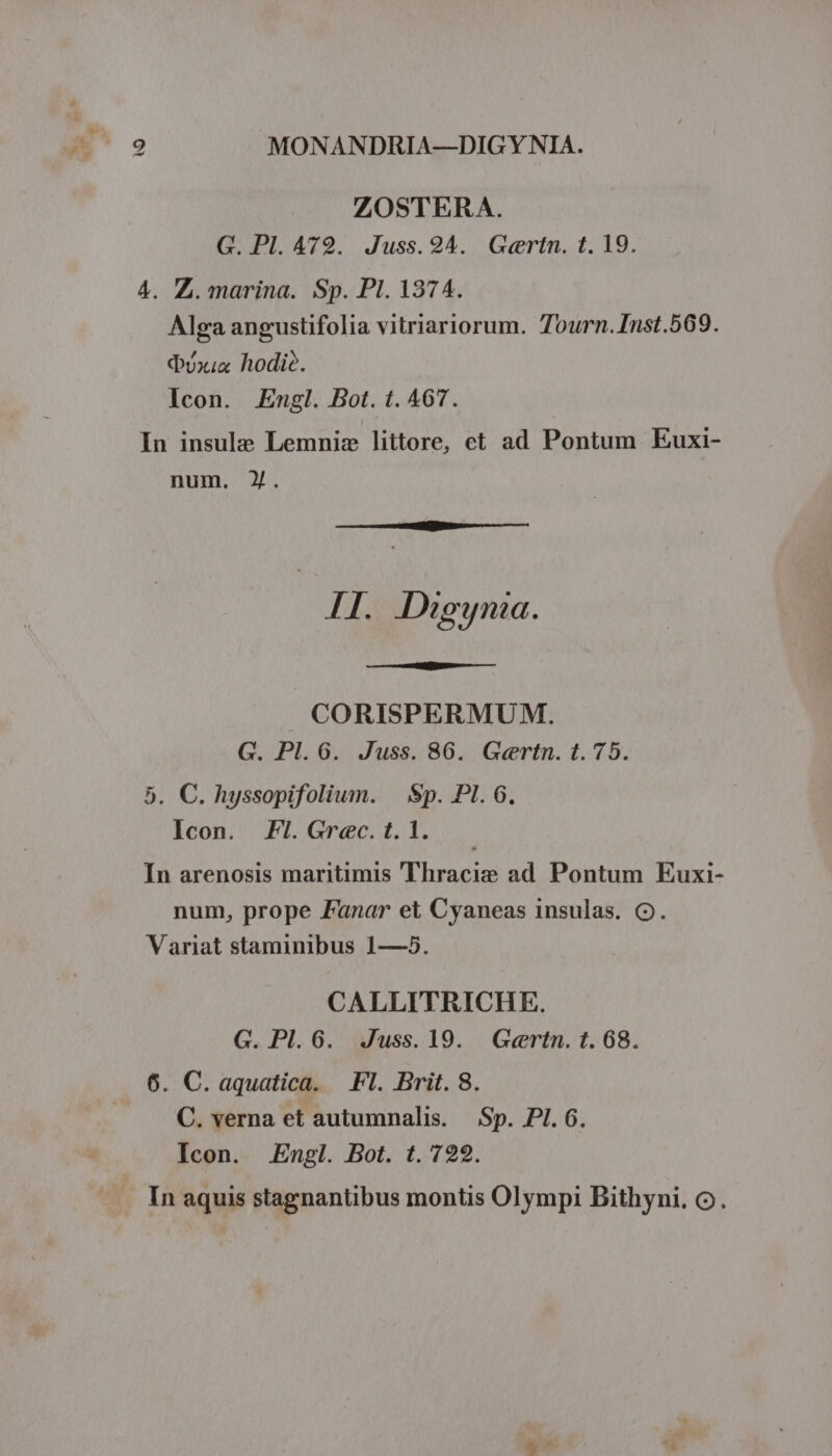 ZOSTERA. G. Pl. A79. Juss. 94. Gertn. t. 19. 4. Z. marina. Sp. Pl. 1374. Alga angustifolia vitriariorum. Tourn. Inst.569. dx hodie. Icon. Engl. Bot. t. 467. In insule Lemniz littore, et ad Pontum Euxi- num. ). I. Dieyna. CORISPERMUM. G. Pl. 6. Juss. 86. Gertn. 1.75. 5. C. hyssopifolium. | Sp. PI. 6. Icon. Fi.Grec.t.1. — In arenosis maritimis 'Thracie ad Pontum Euxi- num, prope Fanar et Cyaneas insulas. O. Variat staminibus 1—5. CALLITRICH E. G. Pl. 6. Juss. 19. Gertn. t. 68. 6. C. aquatica. Fl. Brit. 8. C. verna et autumnalis. — Sp. PI. 6. Icon. Engl. Bot. t. 722. . In aquis stagnantibus montis Olympi Bithyni. o.