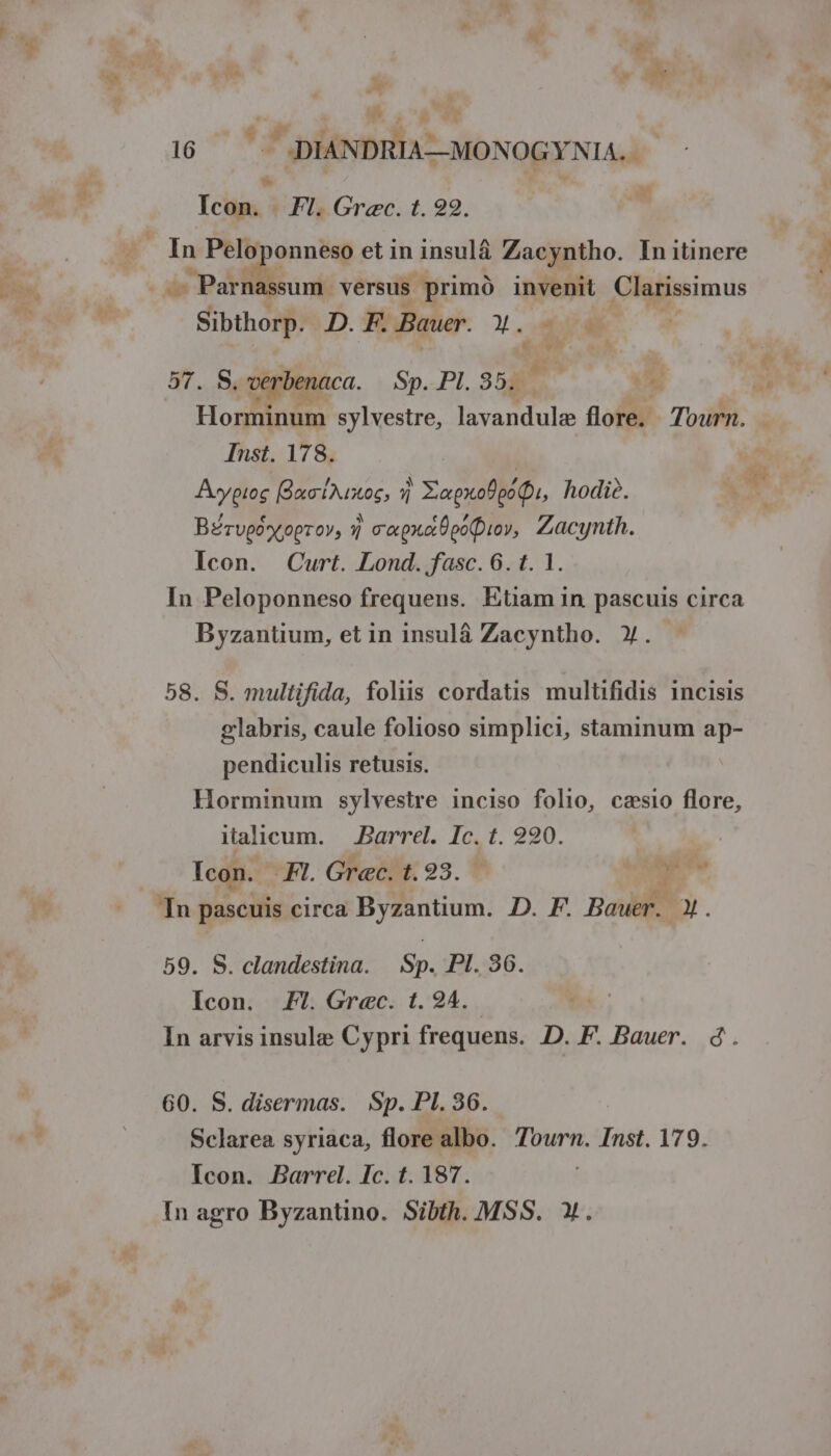 ^r beh Ty 1 7e - Icon. . Fl. Grec. t. 92. -— Parnassum versus primó invenit Clarissimus Sibthorp. D. F. Bauer. X. 48 | v^ 57. S, verbenaca. Sp. PI. 353 , y pn Horminum sylvestre, lavandule flore. Tourn. Inst. 178. A»ypioc [Bae tAuxtoc, 7) XapxopoQ, hodie. Bérvgóotopro, ) c«pxaÜpoiov, Zacynth. Icon. Curt. Lond. fasc. 6. t. 1. In Peloponneso frequens. Etiam in pascuis circa Byzantüum, et in insulà Zacyntho. y. 58. S. multifida, foliis cordatis multifidis incisis glabris, caule folioso simplici, staminum ap- pendiculis retusis. Horminum sylvestre inciso folio, casio flore, italicum. Barrel. Ic. t. 290. Icon. Fl. Grec. t. 93. ^o Tn pascuis circa Byzantium. D. F. Bauer. x. 59. S. clandestina. Sp. 73.:36. Icon. £7. Grec. t. 24. | In arvis insule Cypri frequens. D. F. Bauer. d. 60. S. disermas. Sp. PI. 36. Sclarea syriaca, flore albo. Tourn. Inst. 179. Icon. Barre. Ic. t. 187. In agro Byzantino. Sibth. MSS. X.