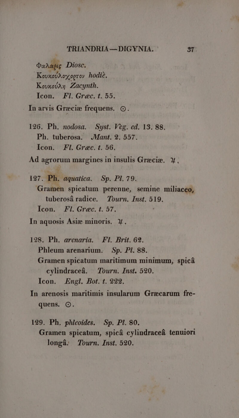 dapi Diosc. KovxoUAexogrov hodie. KouxovA« Zacynth. Icon. Fl. Grec. t. 55. In arvis Grecie frequens. o. 126. Ph. nodosa. Syst. Veg. ed. 13. 88. Ph. tuberosa. .JMant. 29. 557. Icon. Fl. Grec. t. 56. Ad agrorum margines in insulis Grecis. y, 197. Ph. aquatica. Sp. PI. 79. Gramen spicatum perenne, semine miliaceo, tuberosáradice. Tourn. Inst. 519. Icon. Fl. Grec. t. 57. In aquosis Ásie minoris. Y. 128. Ph. arenaria. Fl. Brit. 62. Phleum arenarium. Sp. PI. 88. Gramen spicatum maritimum minimum, spicá cylindraceá. — Tourn. Inst. 590. Icon. Engl. Bot. t. 992. In arenosis maritimis insularum Grecarum fre- quens. Q. 199. Ph. phleoides. Sp. PI. 80. Gramen spicatum, spicá cylindrace&amp; tenuiori longá. Tourn. Inst. 520.