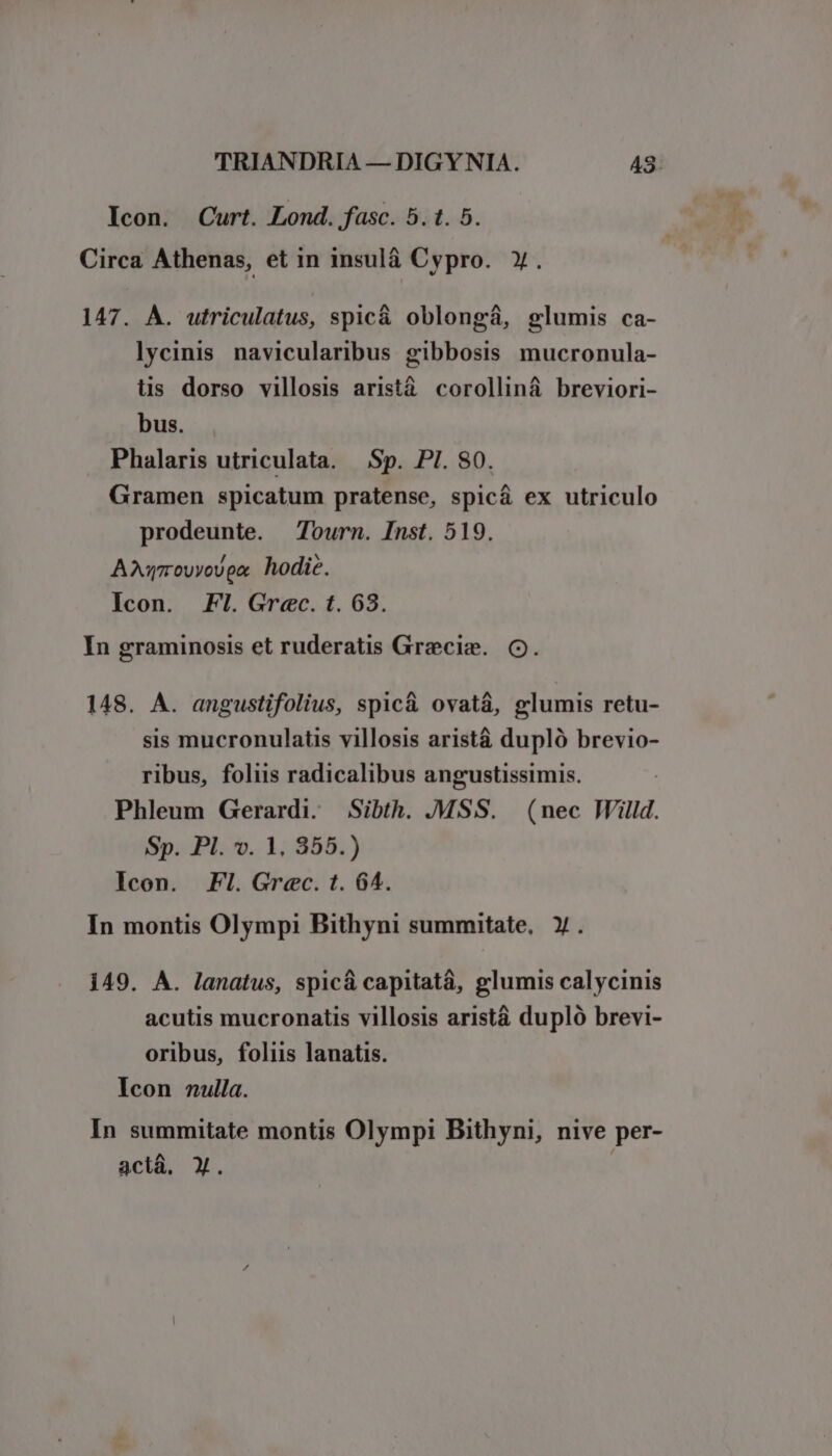 Icon. Curt. Lond. fasc. 5. t. 5. Circa Athenas, et in insulà Cypro. y. 147. À. utriculatus, spic&amp;á oblongá, glumis ca- lycinis navicularibus gibbosis mucronula- üs dorso villosis aristáà. corolliná breviori- bus. Phalaris utriculata. Sp. PI. 80. Gramen spicatum pratense, spicá ex utriculo prodeunte. — Tourn. Inst. 519. ANwrowovpa hodic. Icon. FI. Grec. t. 63. In graminosis et ruderatis Grecis. O. 148. A. angustifolius, spic&amp; ovatá, glumis retu- sis mucronulatis villosis aristá dupló brevio- ribus, foliis radicalibus angustissimis. Phleum Gerardi. Sibth. MSS. (nec Willd. Sp. PI. v. 1, 355.) Icon. Fl. Grec. t. 64. In montis Olympi Bithyni summitate, ). 149. A. lanatus, spicá capitatá, glumis calycinis acutis mucronatis villosis aristá dupló brevi- oribus, foliis lanatis. Icon nulla. In summitate montis Olympi Bithyni, nive per- acià, y.