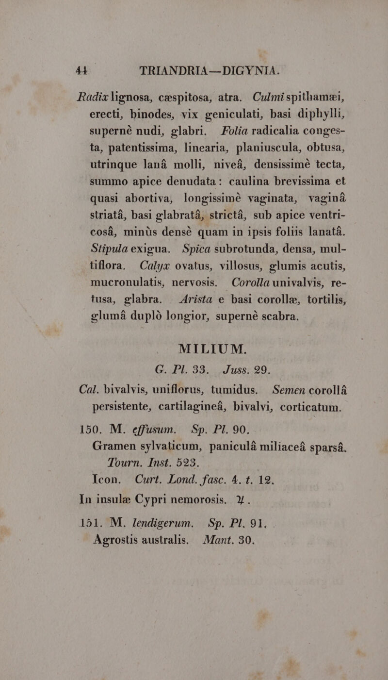 erecti, binodes, vix geniculati, basi diphylli, superné nudi, glabri. Folia radicalia conges- ta, patentissima, linearia, planiuscula, obtusa, utrinque laná molli, niveá, densissimé tecta, summo apice denudata: caulina brevissima et quasi abortiva, longissimé vaginata, vaginá striatà, basi glabratá, strictá, sub apice ventri- cosá, minüs densé quam in ipsis foliis lanatá. Stipula exigua. Spica subrotunda, densa, mul- üflora. Calyx ovatus, villosus, glumis acutis, mucronulatis, nervosis. Corolla univalvis, re- tusa, glabra. Arista e basi corolle, tortilis, glumá dupló longior, superné scabra. MILIUM. G. Pl. 33. Juss. 99. persistente, cartilagineá, bivalvi, corticatum. Gramen sylvaüicum, paniculá miliaceá sparsá. Tourn. Inst. 523. Icon. Curt. Lond. fasc. 4. t. 19. Agrosts australis. Mant. 30.