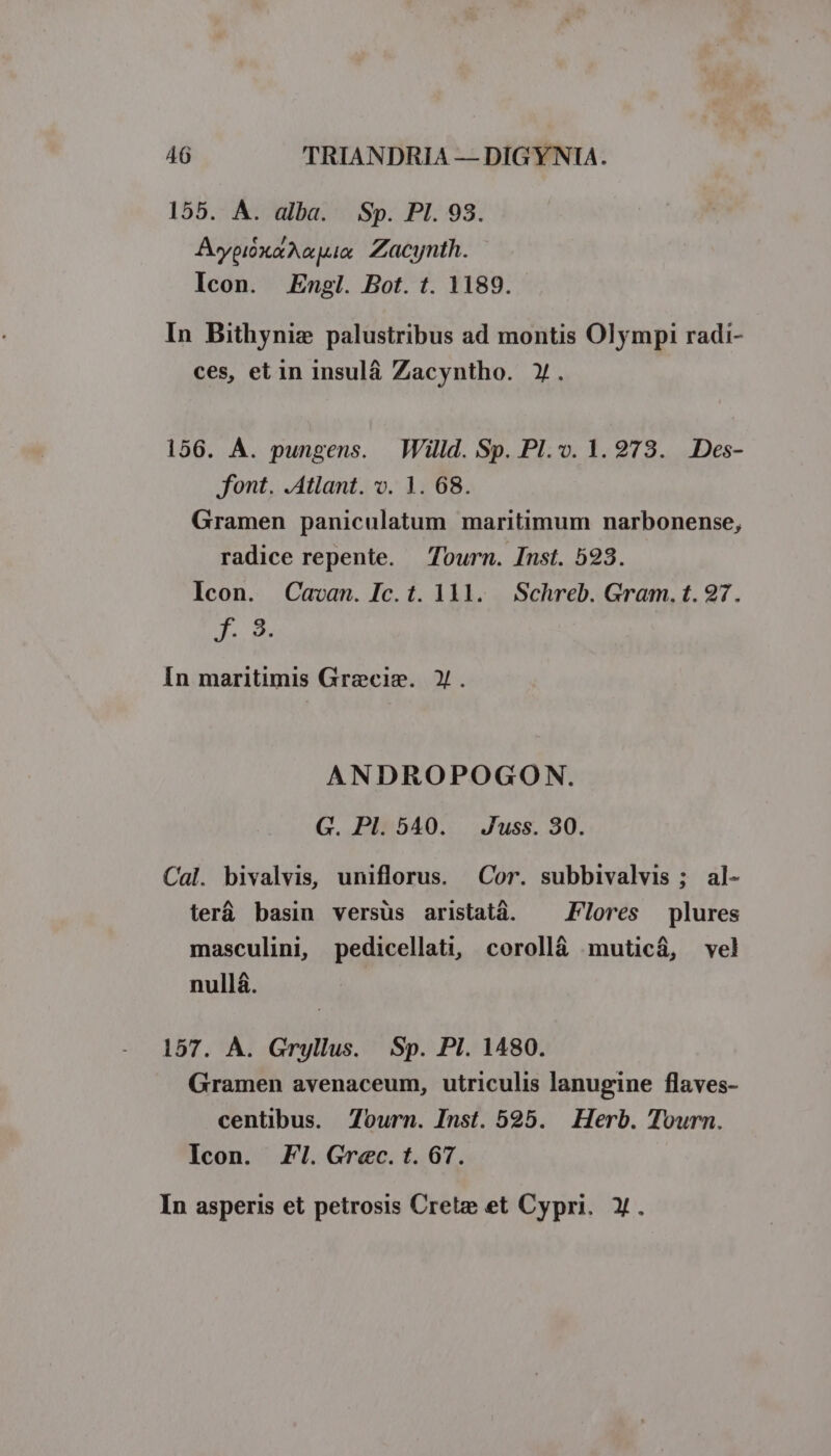 155. A. alba. Sp. Pl. 98. AypióxaAnpin Zacynth. Icon. Engl. Bot. t. 1189. In Bithyniz palustribus ad montis Olympi radi- ces, et in insulá Zacyntho. Y. 156. À. pungens. Willd. Sp. Pl. v. 1. 973. Des- font. .Atlant. v. 1. 68. Gramen paniculatum maritimum narbonense, radice repente. Tourn. Inst. 593. Icon. Cavan. Ic. t. 1131. Schreb. Gram. t. 97. f. 8. In maritimis Grecie. ). ANDROPOGOYN. G. Pl. 540. Juss. 30. Cal. bivalvis, uniflorus. Cor. subbivalvis ; al- terá basin versüs aristatá. ^ Flores plures masculini, pedicellati, corollá muticá, vel nullá. 157. À. Gryllus. Sp. PI. 1480. Gramen avenaceum, utriculis lanugine flaves- centibus. Zourn. Inst. 595. Herb. Tourn. Icon. FI. Grec. t. 67. In asperis et petrosis Crete et Cypri. X.