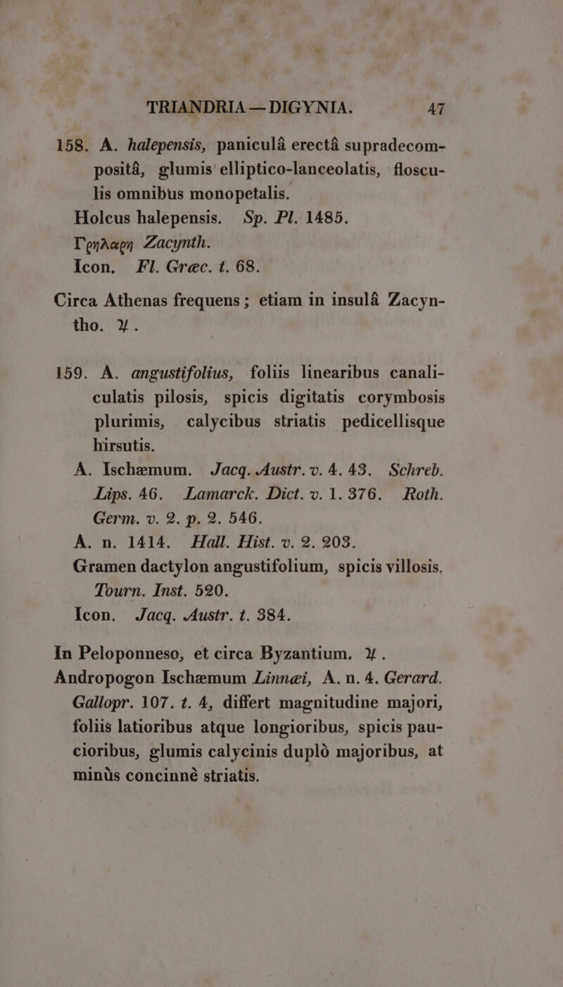 158. A. halepensis, paniculá erectá supradecom- positá, glumis elliptico-lanceolatis, floscu- lis omnibus monopetalis. Holcus halepensis. Sp. Pl. 1485. DejA«py Zacynth. Icon. Fl. Grec. t. 68. Circa Athenas frequens; etiam in insul&amp;á Zacyn- tho. Y. 159. A. angustifolius, folus linearibus canali- culatis pilosis, spicis digitatis corymbosis plurimis, calycibus striatis pedicellisque hirsutis. A. Ischemum. — Jacq. .Austr. v. 4. 43. Schreb. Lips. 46. | Lamarck. Dict. v. 1. 376. |. Roth. Germ. v. 2. p. 2. 546. A. n. 1414. Hall. Hist. v. 9. 203. Gramen dactylon angustifolium, spicis villosis. Tourn. Inst. 520. Icon. Jacq. .Austr. t. 384. In Peloponneso, et circa Byzantium. Y. Andropogon Ischemum Zinnei, A. n. 4. Gerard. Gallopr. 107. t. 4, differt magnitudine majori, foliis latioribus atque longioribus, spicis pau- cioribus, glumis calycinis dupló majoribus, at minüs concinné striatis.