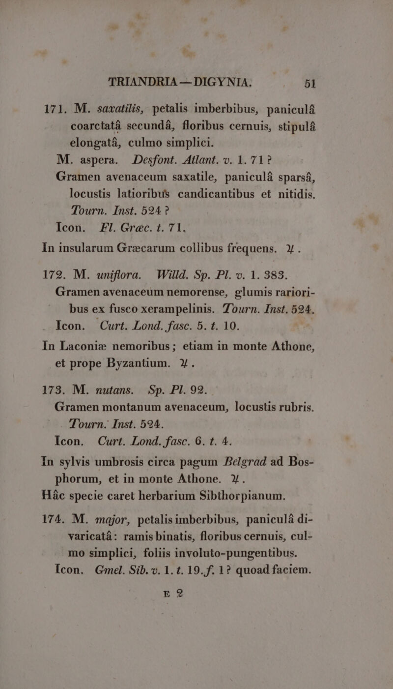 171. M. saxatilis, petalis imberbibus, paniculá coarctatá secundá, floribus cernuis, stipulá elongatá, culmo simplici. M. aspera. JDesfont. Atlant. v. 1. 71? Gramen avenaceum saxatile, paniculá sparsá, locustis latioribus candicantibus et nitidis. Tourn. Inst. 594? Icon. FI. Grec. t. 71. In insularum Graecarum collibus frequens. Y. 172. M. uniflora. Willd. Sp. Pl. v. 1. 388. Gramen avenaceum nemorense, glumis rariori- bus ex fusco xerampelinis. 7ourn. Inst. 524. Icon. Curt. Lond. fasc. 5. t. 10. In Laconie nemoribus; etiam in monte Athone, et prope Byzantium. Y. 173. M. nutans. Sp. PI. 92. Gramen montanum avenaceum, locustis rubris. Tourn. Inst. 594. Icon. Curt. Lond. fasc. 6. t. 4. In sylvis umbrosis circa pagum Belgrad ad Bos- phorum, et in monte Athone. Y. Hác specie caret herbarium Sibthorpianum. 174. M. major, petalis imberbibus, paniculàá di- varicatá: ramis binatis, floribus cernuis, cul- mo simplici, foliis involuto-pungentibus. Icon. Gmel. Sib.v. 1. t. 19.f. 1? quoad faciem. E 2
