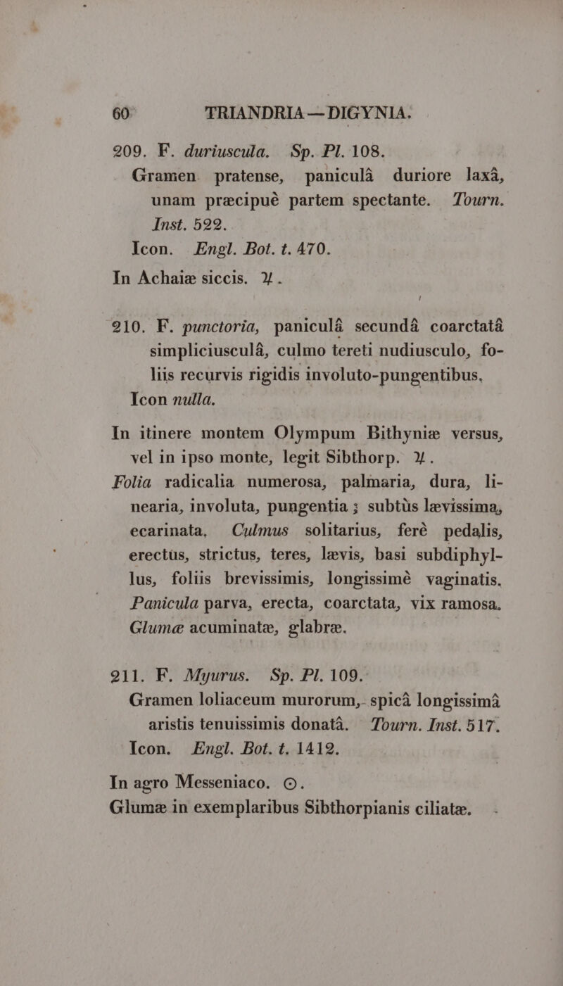 209. F. duriuscula. Sp. PI. 108. Gramen. pratense, paniculà duriore laxi, unam przecipué partem spectante. — Tourn. Inst. 522. Icon. Engl. Bot. t. 470. In Achaiz siccis. Y. ! 210. F. punctoria, paniculá secund&amp; coarctatá simpliciusculá, culmo tereti nudiusculo, fo- liis recurvis rigidis involuto-pungentibus, Icon nulla. In itinere montem Olympum Bithynie versus, vel in ipso monte, legit Sibthorp. ». Folia radicalia numerosa, palmaria, dura, li- nearia, involuta, pungentia ; subtüs levissima, ecarinata, — Culmus solitarius, feré pedalis, erectus, strictus, teres, levis, basi subdiphyl- lus, foliis brevissimis, longissimé vaginatis. Panicula parva, erecta, coarctata, vix ramosa. Glume acuminate, glabra. 211. F. Myurus. Sp. PI. 109. Gramen loliaceum murorum, spicà longissimá aristis tenuissimis donatà. — Tourn. Inst. 517. Icon. Engl. Bot. t. 1412. In agro Messeniaco. O. Glume in exemplaribus Sibthorpianis ciliata.