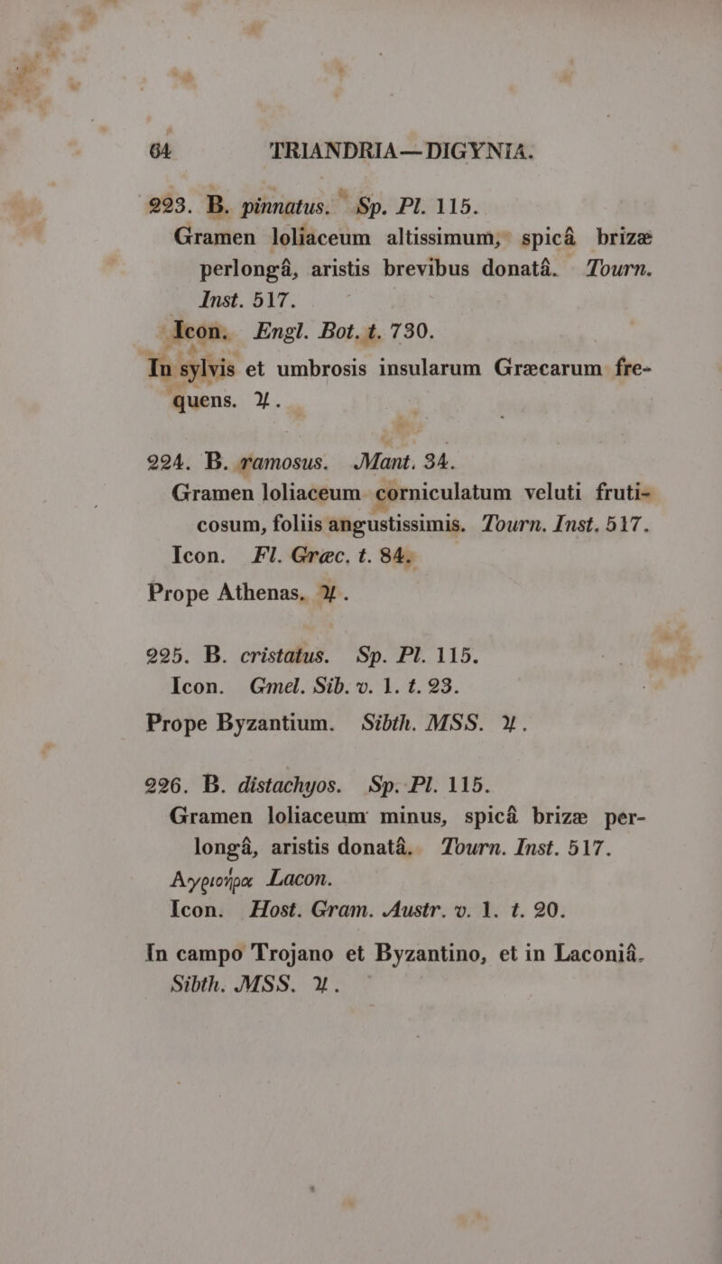 m « um » 6A TRIANDRIA — DIGYNIA. Gramen loliaceum altissimum, spic&amp; brize perlong&amp;, aristis brevibus donatá. Tourn. Inst. 517. | Aeon. Engl. Bot. t. 730. In sylvis et umbrosis insularum Graecarum fre- quens. Y. 294. B. ramosus. Mant. 34. Gramen loliaceum. corniculatum veluti fruti- cosum, foliis angustissimis. Tourn. Inst. 517. Icon. Fl. Grec. t. 84. Prope Athenas. Y. 295. B. cristatus. Sp. Pl. 115. Icon. Gmel. Sib. v. 1. t. 28. Prope Byzantium. Sibth. MSS. Y. 296. B. distachyos. Sp. PI. 115. Gramen loliaceum minus, spicá brize per- longá, aristis donatà. — Tourn. Inst. 517. Aypioipa. ;Lacon. Icon. Host. Gram. .Austr. v. 1. t. 90. In campo Trojano et Byzantino, et in Laconiá. Sibth. .MSS. X.