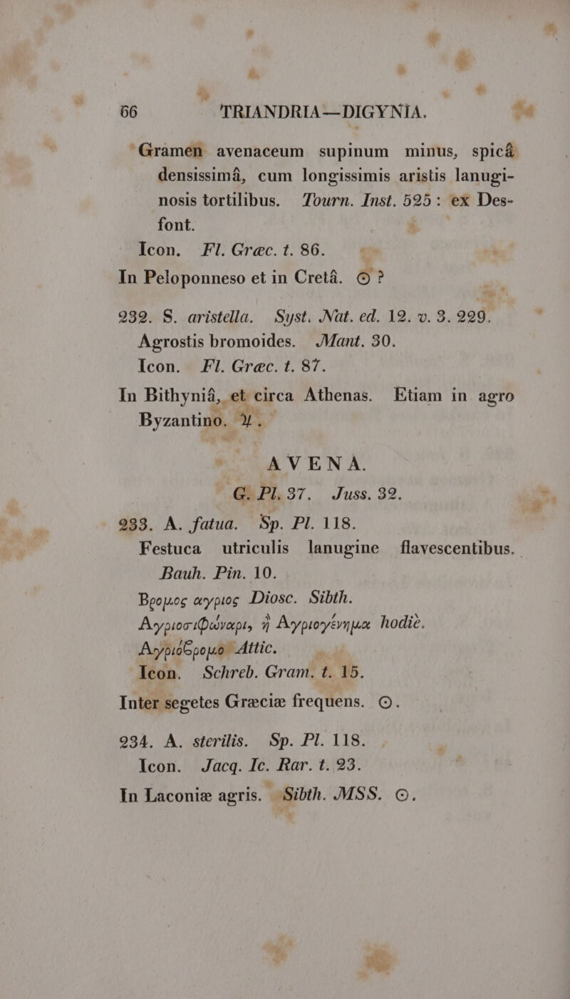 E j 66 TRIANDRIA — DIGY NIA. n Gramen avenaceum supinum minus, spic&amp; densissimá, cum longissimis aristis lanugi- nosis tortilibus. Tourn. Inst. 525: ex Des- font. Icon. Fl. Graec. t. 86. In Peloponneso et in Cretá. CO? 2939. S. aristella. Syst. .Nat. ed. 19. v. 3. 999. Agrostis bromoides. |J Mant. 30. Icon. Fl. Grec. t. 87. In Bithyniá, et circa Athenas. Etiam in agro Byzantino. 4. KUXATVEN A. .GRPL37. Juss. 32. 933. A. fatua. Sp. Pl. 118. Festuca utriculis lanugine flavescentibus. Bauh. Pin. 10. Beojsog aeypios Diosc. Sibth. AvypiociQovapt, 5 Aypieyeriux. hodie. A-pio6pejuo. Attic. Icon. Schreb. Gram. t. 15. Inter segetes Grecize frequens. OQ. 2934. A. sterilis. Sp. Pl. 118. Icon.- Jacq. Ic. Rar. t.(23. In Laconie agris. Sibth. MSS. C.