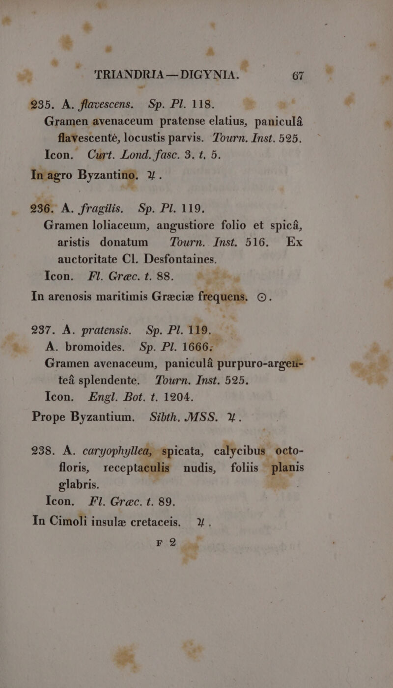 ^ 5 *  , ^ ^  &amp; 2935. A. flavescens. Sp. Pl. 118.  pt Gramen avenaceum pratense elatius, peliculà flavescenté, locustis parvis. Tourn. Inst. 595. Icon. Curt. Lond. fasc. 9. t. 5. 936. A. fragilis. Sp. PI. 119. Gramen loliaceum, angustiore folio et spicá, aristis donatum Tourn. Inst. 516. | Ex auctoritate Cl. Desfontaines. Icon. FI. Grec. t. 88. &amp; on 5^ e In arenosis maritimis Grzciz frequens. C. 297. À. pratensis. Sp. PI. 119. A. bromoides. Sp. Pl. 1666. - teá splendente. — Tourn. Inst. 525. Icon. Engl. Bot. t. 1904. Prope Byzantium. Sibth..MSS. Y. 2938. KM. caryophyllea,. icata, calycibus | octo- floris, copie nudis, foliis p glabris. In Cimoli insule cretaceis. Y. r9 b *4 LE vx Ls