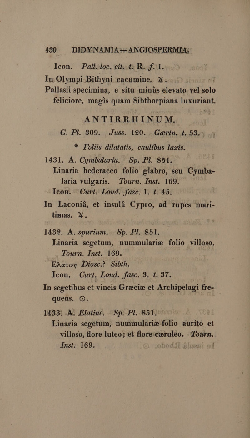 Icon. Pall.oc. cit. t. R. f. 1. In Olympi Bithyni cacumine. X. Pallasii specimina, e situ -minüs elevato vel Eo feliciore, magis quam Sibthorpiana luxuriant. ANTIRRHINUM. .. G. Pl. 309. Juss. 190. . Gertn. t. 53. * Foliis dilatatis, caulibus laxis. 1431. A. Cymbalaria. Sp. Pl. 851. | Linaria hederaceo folio glabro, seu Cymba- laria vulgaris. Tourn. Inst. 169. Icon. Curt. Lond. fasc. 1. t. 45. In Laconiá, et insulá Cypro, ad rupes mari- timas. Y. 1439. A. spurium. |. Sp. PI. 851. Linaria segetum, nummularie folio villoso, . ., Tourn. Inst. 169. EAT Diosc.? Sibth. Icon. Curt. Lond. fasc. 3. t. 37. | In segetibus et vineis Grecis et Archipelagi fre- quens. OQ. | 1433; A; Elatine. Sp. Pl. 851. Linaria segetum, nummularie folio auritoó et villoso, flore luteo; et flore: €reruleo. Tourn. Inst. 169. | 2j .obDodii Blusn: ni