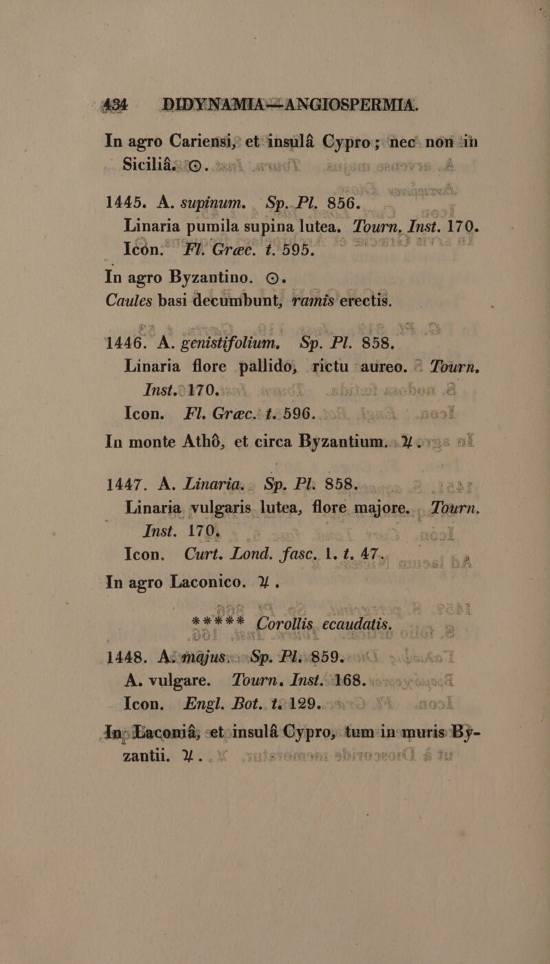 In agro Cariensi,: et insulá phos nec. non -in Sicilià:. o. | OLET 1445. A. supinum. Sp. PI. 856. | Linaria pumila supina lutea. Tourn. Inst. 17. Icon. Fl. Grec. t. 595. : In agro Byzantino. Q. Caules basi decumbunt, ramis erectis. 1446. A. genistifolium, Sp. PI. 858. | Linaria flore pallido, rictu aureo. cit Inst.:170. | : Icon. Fl.Grec. t. 596. In monte Athó, et circa Byzantium. 3; 1447. A. Linaria.. Sp. Pl. S58. |odaM Linaria. vulgaris. lutea, flore majore.. - Tourn. Inst. 170. .— | 3 nol Icon. Curt. Lond. fasc. 1. t. AT. s RE In agro Laconico. X. * * * ,  Corollis ecaudatis, 1448. Aomajus: iin Pl;.$59. A. vulgare. Tourn. Inst. 168... Icon. Engl. Bot. 1.129... An; Eaconiá; -et- insulá rmn iuam: in-muris Pct zanti. )).. inu sbrreseor 2.8 Tru