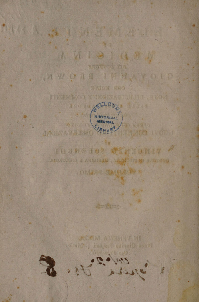 TRON Ì 4 ) Lay A. ‘pl di i î Le. VEL e