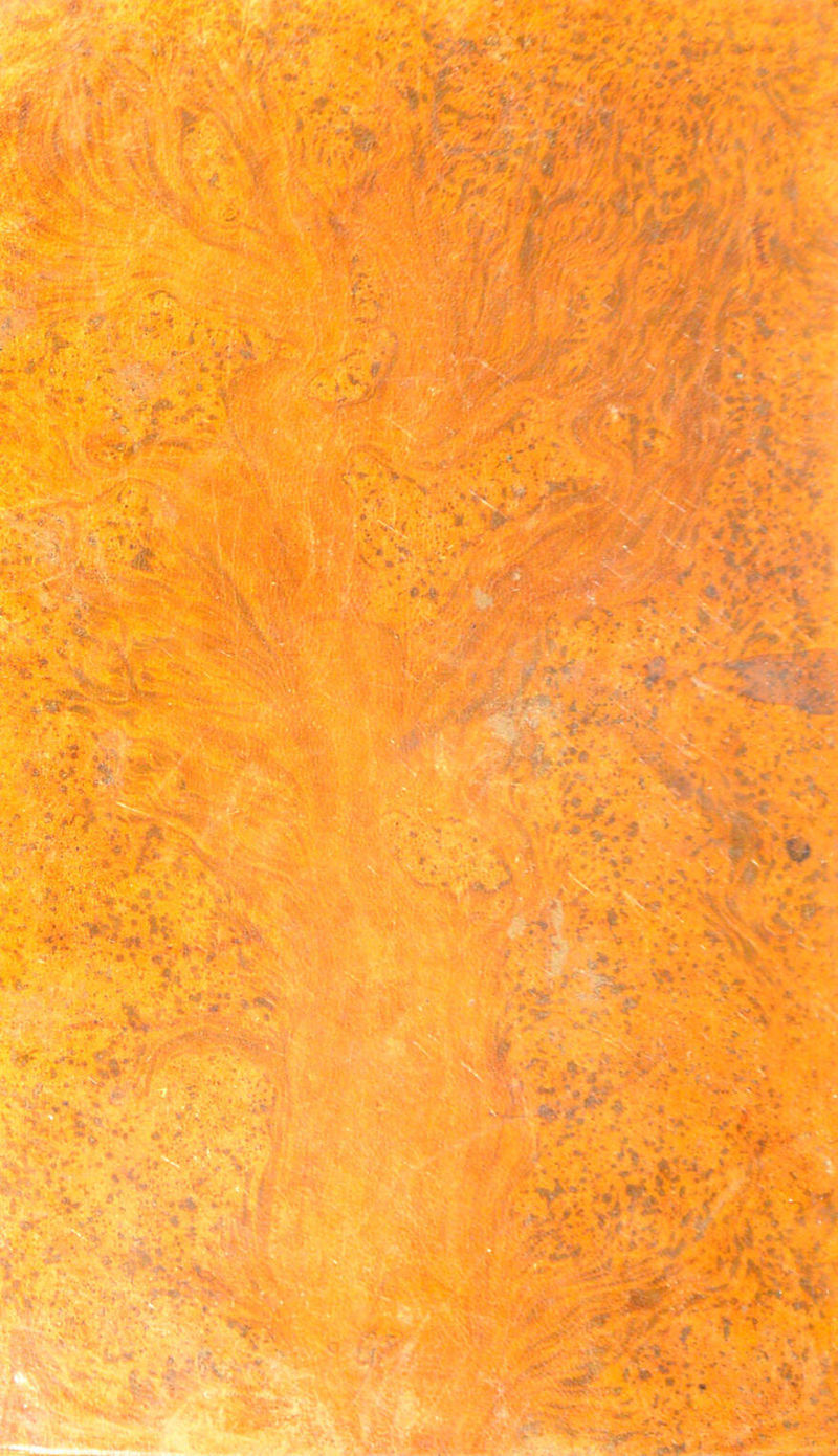 No text description is available for this image