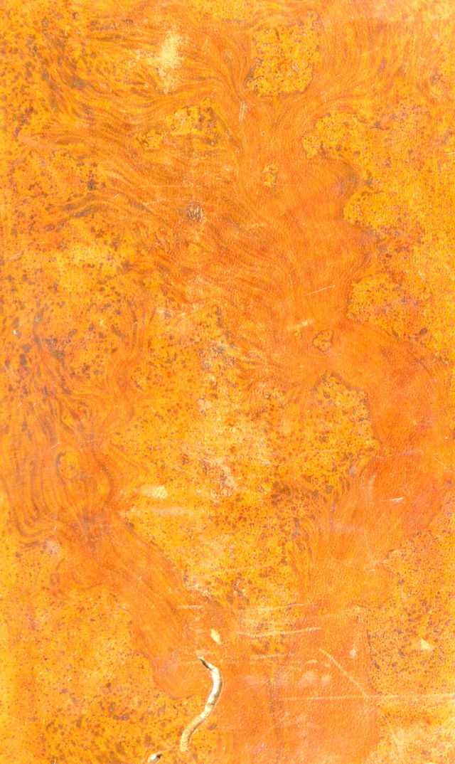 No text description is available for this image