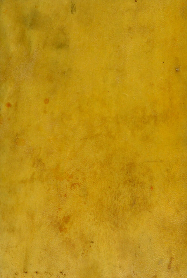 digitised image 1