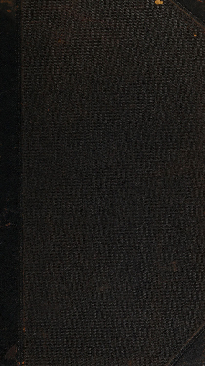 Tiei dete VoL &gt; 45 rp sey : oes * ss. TTR G ake SARS SOO ENSSINS ws ESSAY Bee es eee EY Spe seeees YS ok s BAIS &lt;i ia eh Ke Pt ae wy: REAP DN WEY “ aot s ee re Te foge ligt es ESATA ESEL APES Ci AS feats Searey SS