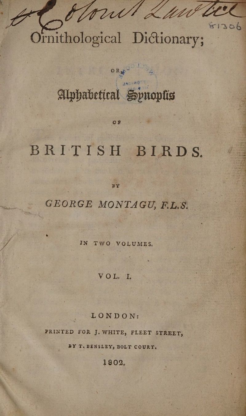 Ornithological DiGtionary; = OR Sy Alwhabetical ‘Spnoptis OF BRITISH BIRDS, BY GEORGE MONTAGU, FL.S. be é. IN TWO VOLUMES, V.0 Lok, LONDON: PRINTED FOR J, WHITE, FLEET STREET, BY T. BENSLEY, BOLT COURT. 1802,