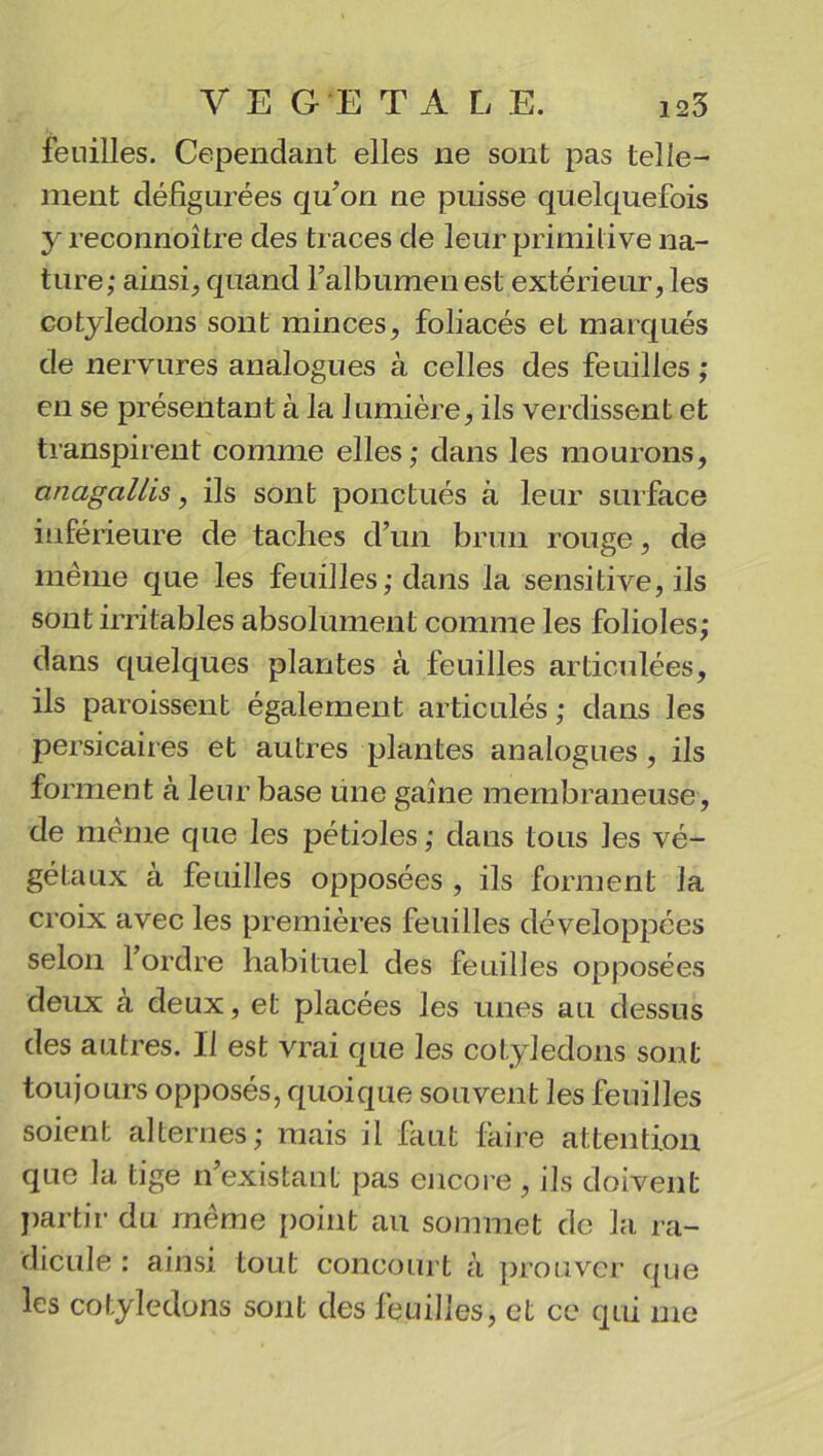 feuilles. Cependant elles ne sont pas telle- ment défigurées qu’on ne puisse quelquefois y reconnoître des traces de leur primitive na- ture; ainsi, quand l’albumen est extérieur, les cotylédons sont minces, foliacés et marqués de nervures analogues à celles des feuilles ; en se présentant à la lumière, ils verdissent et transpirent comme elles; dans les mourons, anagallis, ils sont ponctués à leur surface inférieure de taches d’un brun rouge, de même que les feuilles ; dans la sensitive, ils sont irritables absolument comme les folioles; dans quelques plantes à feuilles articulées, ils paroissent également articulés ; dans les persicaires et autres plantes analogues, ils forment à leur base une gaine membraneuse, de même que les pétioles; dans tous les vé- gétaux à feuilles opposées , ils forment la croix avec les premières feuilles développées selon l’ordre habituel des feuilles opposées deux à deux, et placées les unes au dessus des autres. Il est vrai que les cotylédons sont toujours opposés, quoique souvent les feuilles soient alternes; mais il faut faire attention que la tige n’existant pas encore, ils doivent partir du même point au sommet de la ra- dicule : ainsi tout concourt à prouver que les cotylédons sont des feuilles, et ce qui me