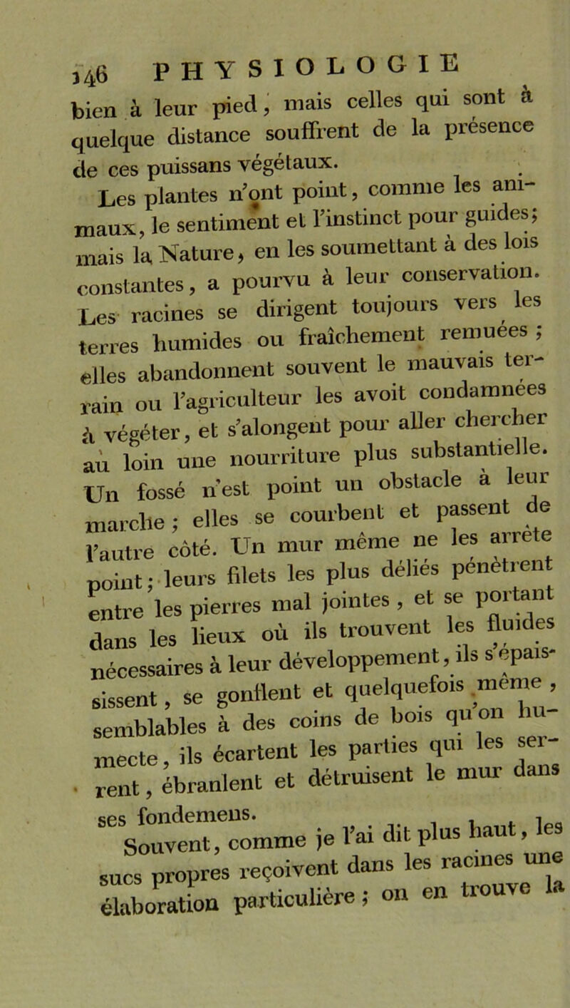 bien à leur pied, mais celles qui sont a quelque distance souffrent de la presence de ces puissans végétaux. Les plantes n’ont point, comme les ani- maux, le sentiment et l’instinct pour guides; mais la Nature, en les soumettant a des lois constantes, a pourvu à leur conservation. Les racines se dirigent toujours vers les terres humides ou fraîchement remuées ; elles abandonnent souvent le mauvais ter- rain ou l’agriculteur les avoit condamnées h végéter, et s’alongent pour aller chercher au loin une nourriture plus substantielle. Un fossé n'est point un obstacle a leur marche; elles se courbent et passent de l’autre côté. Un mur même ne les arrête point; leurs filets les plus délies pénètrent entre les pierres mal jointes , et se portant dans les lieux où ils trouvent les fluides nécessaires à leur développement, ils s épais- sissent, se gonflent et quelquefois .meme , semblables à des coins de bois qu on h mecte ils écartent les parties qui les sei- . rent, ébranlent et détruisent le mur dans SeSomme je l’ai dit plus haut, les sucs propres reçoivent dans les racines une élaboration particulière ; on cil i