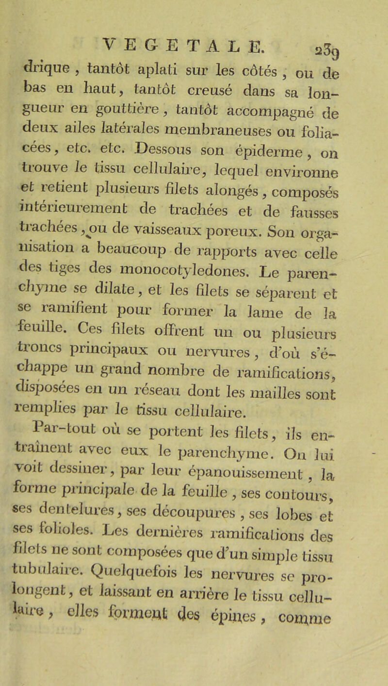 drique , tantôt aplati sur les côtés , ou de bas en haut, tantôt creusé dans sa lon- gueur en gouttière, tantôt accompagné de deux ailes latérales membraneuses ou folia- cées, etc. etc. Dessous son épiderme , on tiouve Je tissu cellulaire, lequel environne et îetient plusieurs filets alongés, composés intérieurement de trachées et de fausses trachées ,ou de vaisseaux poreux. Son orga- nisation a beaucoup de rapports avec celle des tiges des monocotyledones. Le pareil— chyme se dilate, et les filets se séparent et se ramifient pour former la lame de la feuille. Ces filets offrent un ou plusieurs troncs principaux ou nervures, d’où s’é- chappe un grand nombre de ramifications, disposées en un réseau dont les mailles sont remplies par le tissu cellulaire. Par-tout où se portent les filets, ils en- traînent avec eux le parenchyme. On lui voit dessiner, par leur épanouissement, la forme principale de la feuille , ses contours, ses dentelures, ses découpures , ses lobes et ses folioles. Les dernières ramifications des filets ne sont composées que d’un simple tissu tubulaire. Quelquefois les nervures se pro- longent, et laissant en arrière le tissu cellu- kire, elles forment des épines, comme