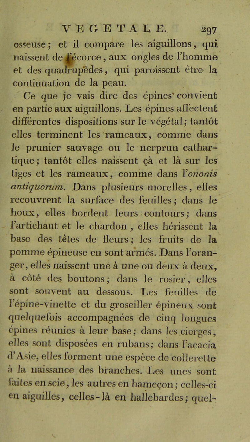 osseuse; et il compare les aiguillons, qui naissent de tëécorce, aux ongles de l’homme et des quadrupèdes, qui paroissent être la continuation de la peau. Ce que je vais dire des épines' convient en partie aux aiguillons. Les épines affectent différentes dispositions sur le végétal; tantôt elles terminent les rameaux, comme dans le prunier sauvage ou le nerprun cathar- tique ; tantôt elles naissent çà et là sur les tiges et les rameaux, comme dans Yononis antiquorum. Dans plusieurs morelles, elles recouvrent la surface des feuilles ; dans le houx, elles bordent leurs contours; dans l’artichaut et le chardon , elles hérissent la base des têtes de fleurs ; les fruits de la pomme épineuse en sont armés. Dans l’oran- ger, elles naissent une à une ou deux à deux, à côté des boutons ; dans le rosier, elles sont souvent au dessous. Les feuilles de 1 épine-vinette et du groseiller épineux sont quelquefois accompagnées de cinq longues épines réunies à leur base; dans les cierges, elles sont disposées en rubans; dans l’acacia d’Asie, elles forment une espèce de collerette a la naissance des branches. Les unes sont faites en scie, les autres en hameçon ; celles-ci en aiguilles, celles - là en hallebardes ; quel-