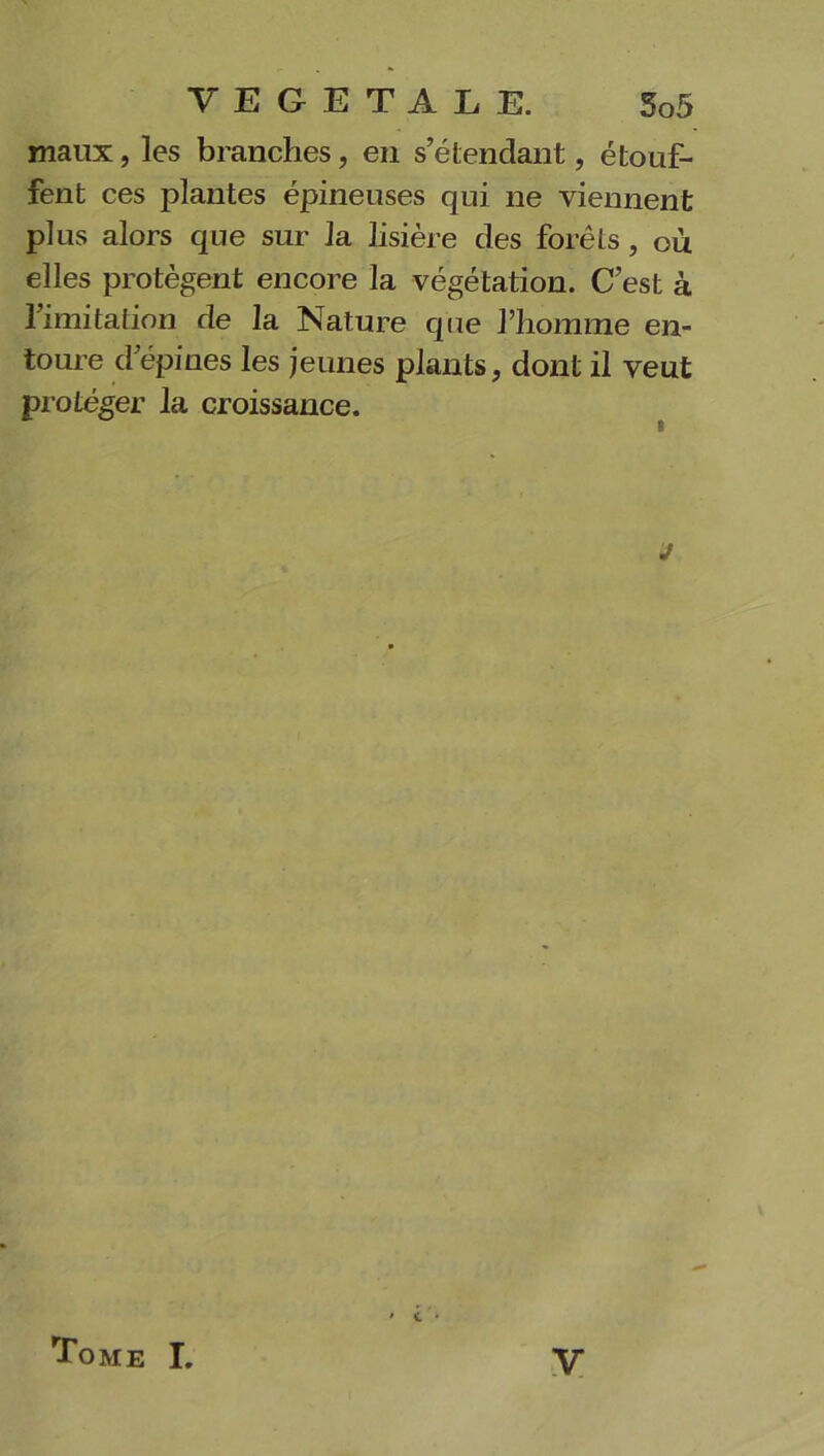 maux, les branches, en s’étendant, étouf- fent ces plantes épineuses qui ne viennent plus alors que sur la lisière des forêts, ou elles protègent encore la végétation. C’est à l’imitation de la Nature que l’homme en- toure d’épines les jeunes plants, dont il veut protéger la croissance. j Tome I. V