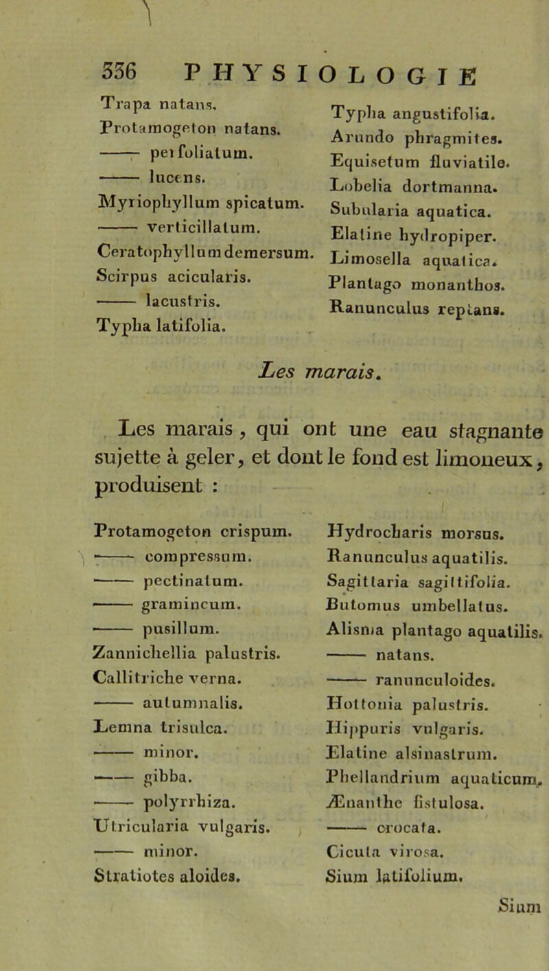 Typlia angustifolia. Arundo phïagmites. Equisetum fluviatila. Lobelia dortmanna. Subularia aquatica. Elaline hyilropiper. Limosella aqualica. Planlago monantbos. Ranunculus repîans. Les marais. Les marais, qui ont une eau stagnante sujette à geler, et dont le fond est limoneux, produisent : Trapa n a tan.s. Protamogeton natans. peifolialum. lucens. Myriophyllum spicatum. verticillalum. Ceratophyllumdemersum. Scirpus acicularis. lacustris. Typlia lalifolia. Protamogeton crispum. compressum. pectinatum. ■ gramincurn. pusillum. Zannicliellia palustris. Callitriche verna. autumnalis. Lemna trisulca. minor. gibba. • polyrrbiza. Utricularia vulgaris. minor. Stratiotes aloides. Hydrocbaris ni ors os. Ranunculus aquatilis. Sagitlaria sagiltifolia. Butomus umbellatus. Alisma plantago aquatilis. natans. ranunculoides. Hottonia palustris. Ilippuris vulgaris. Elatine alsinaslrum. Phellandrium aquaticum. Æuanthe listulosa. crocata. Cieuta virosa. Sium latifolium.