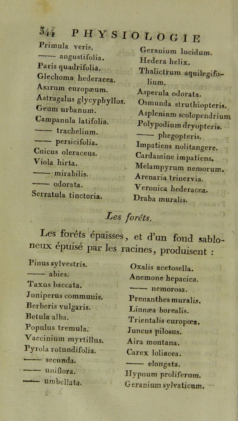 Priaiula veris. angustifolia. Paris quadrifolia. Glechoma hederacea. Asarum europæum. Astragalus glycypbyllos. Geum urbanum. Campanula latifolia. * trachelium. persicifolia. Cnicus oleraceus. Viola hirta. mirabilis. odorata. Serratula tinctoria. G I E Géranium lucidum. Hedera hélix. Thalictrum àquilegifo- lium. Asperula odorata. Osmnnda struthiopteris. Aspleninm scolopendrium Polypodiutn dryopteris. pliegopteris. Impatiens nolitangere. Cardamine impatiens. Melampyrum nemorum. Arenaria trinervia. Veronica liederacea. Draba muralis. Les forêts. Les forêts épaisses, et d’un fond sablo- neux épuisé par les racines, produisent : I’inus sylvestris. abies. Taxas baccata. Juniperus communis. Berberis vulgaris. Belula alba. Populus tremula. Vaccinium myrtillus. Pyrola rolundifolia. • secunda. uniflora. umbellata. Oxalis acetosella. Anémone hepacica. nemorosa. Prenanthes muralis. Jjinnæa borealis. Trienlalis europoea. Juncus pilosus. A ira montana. Carex loliacea. ■ elongata. Ilypnum proliferum. Géranium sylvaticum.