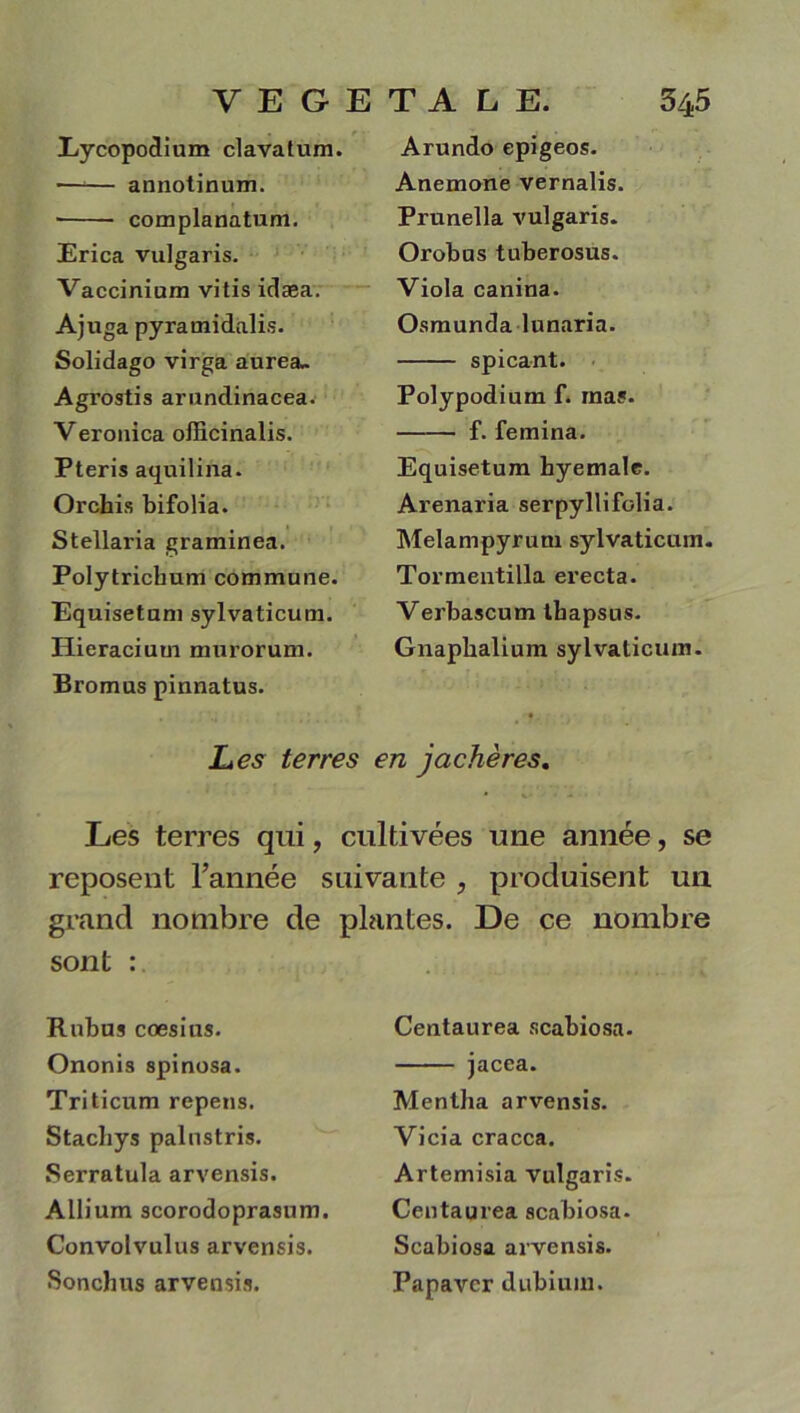 Eycopodium clavatum. annotinum. complanatum. Erica vulgaris. Vaccinium vitis idæa. Ajuga pyramidalis. Solidago virga aurea. Agrostis arundinacea. Veronica officinalis. Pteris aquilina. Orchis bifolia. Stellaria graminea. Polytrichum commune. Equisetum sylvaticum. Hieraciuui murorum. Bromus pinnatus. Arundo epigeos. Anemone vernalis. Prunella vulgaris. Orobus tuberosus. Viola canina. Osmunda lunaria. spicant. Polypodium f. mas. f. femina. Equisetum hyemale. Arenaria serpyllifolia. Melampyrum sylvaticum. Tormentilla erecta. Verbascum tbapsus. Gnapbalium sylvaticum. Les terres en jachères. Les terres qui, cultivées une année, se reposent l’année suivante , produisent un grand nombre de plantes. De ce nombre sont : Rubus cœsius. Ononis spinosa. Triticum repens. Stachys palustris. Serratula arvensis. Allium scorodoprasum. Convolvulus arvensis. Sonchus arvensis. Centaurea scabiosa. jacea. Mentha arvensis. Vicia cracca. Artemisia vulgaris. Centaurea scabiosa. Scabiosa arvensis. Papavcr dubium.
