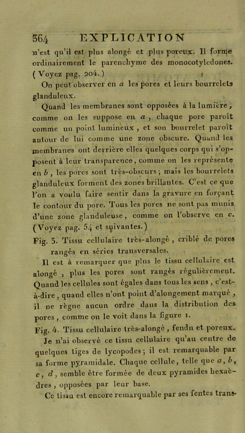 n’est qu’il est plus alongé et plus poreux. Il forme ordinairement le parenchyme des monocotylcdones. (Voyez pag. 2o4. ) 4 On peut observer en a les pores et leurs bourrelets glanduleux. Quand les membranes sont opposées à la lumière , comme on les suppose en a , chaque pore paroît comme un point lumineux , et son bourrelet paroît autour de lui comme une zone obscure. Quand les membranes ont derrière elles quelques corps qui s’op- posent à leur transparence, comme on les représente en b , les porcs sont très-obscurs; mais les bourrelets glanduleux forment des zones brillantes. C’est ce que l’on a voulu faire sentir dans la gravure en forçant le contour du pore. Tous les pores ne sont pas munis d’une zone glanduleuse, comme on l’observe en c. (Voyez pag. 54 et suivantes.) Fig. 5. Tissu cellulaire très-alongé , criblé de porea rangés en séries transversales. Il est à remarquer que plus le tissu cellulaire est alongé , plus les pores sont rangés régulièrement. Quand les cellules sont égalés dans tous les sens , c est- à-dire , quand elles n’ont point d’alongement marqué , il ne règne aucun ordre dans la distribution des pores , comme on le voit dans la figure i. Fig. 4. Tissu cellulaire très-alongé , fendu et poreux. Je n’ai observé ce tissu cellulaire qu au centre de quelques liges de lycopodes ; il est remarquable par sa forme pyramidale. Chaque cellule, telle que a, b, c , d , semble être formée de deux pyramides hexaè- dres , opposées par leur base. Ce tissu est encore remarquable par ses fentes trans-