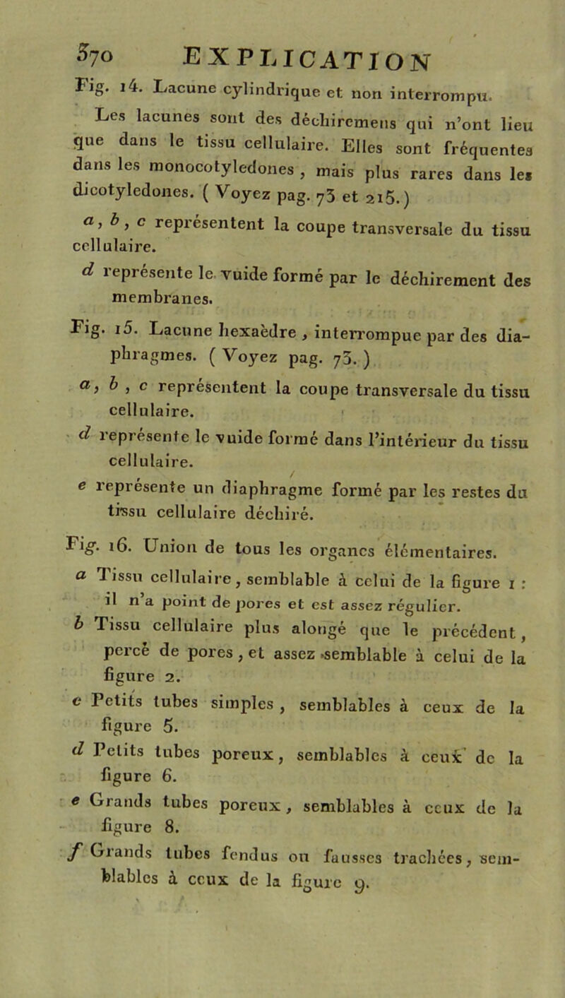 îig. i4. Lacune cylindrique et non interrompu. Les lacunes sont des déchircmens qui n’ont lieu que dans le tissu cellulaire. Elles sont fréquentes dans les monocotyledones , mais plus rares dans les dicotylédones. ( Voyez pag. 73 et 2i5.) a, b j c repicsentent la coupe transversale du tissu cellulaire. d représente le vuide formé par le déchirement des membranes. Fig. i5. Lacune hexaèdre , interrompue par des dia- phragmes. ( Voyez pag. 73. ) a> b , c représentent la coupe transversale du tissu cellulaire. d îepresentc le vuide formé dans l’intérieur du tissu cellulaire. e représente un diaphragme formé par les restes du tissu cellulaire déchiré. Fig. 16. Union de tous les organes élémentaires. a Tissu cellulaire, semblable à celui de la figure x : il n a point de pores et est assez régulier. b Tissu cellulaire plus alongé que le précédent, percé de pores, et assez .semblable à celui de la figure 2. e Petits tubes simples , semblables à ceux de la figure 5. d Petits tubes poreux, semblables à ceui’ de la figure 6. e Grands tubes poreux , semblables à ceux de la figure 8. f Grands tubes fendus ou fausses trachées, sem- blables à ceux de la figure y.