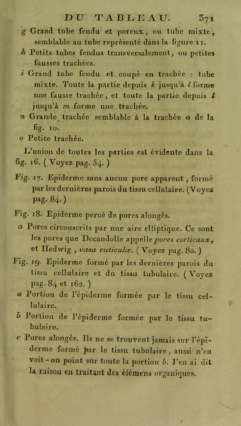 g Grand tnbe fendu et poreux, ou tube mixte, semblable au tube représenté dans la figure n. h Petits tubes fendus transversalement, ou petites fausses trachées. i Grand tube fendu et coupé en trachée : tube mixte. Toute la partie depuis k jusqu’à l forme une fausse trachée, et toute la partie depuis L jusqu’à m forme une trachée. n Grande trachée semblable à la trachée a de la fig. io. o Petite trachée. L’union de toutes les parties est évidente dans la fig. 16. ( Voyez pag. 54. ) Fig. 17. Epiderme sans aucun pore apparent , formé par les dernières parois du tissu cellulaire. (Voyez pag. 84. ) Fig. 18. Epiderme percé de pores alongés. a Porcs circonscrits par une aire elliptique. Ce sont les pores que Decandolle appelle pores corticaux, et Idedwig , vasa cuticulœ. ( Voyez pag. 80. ) Fig. 19. Epiderme formé par les dernières parois du tissu cellulaire et du tissu tubulaire. ( Voyez pag. 84 et 162. ) a Portion de l’épiderme formée par le tissu cel- lulaire. h Portion de l’épiderme formée par le tissu tu- bulaire. c Pores alongés. Ils ne se trouvent jamais sur l’épi- derme forme par le tissu tubulaire, aussi n’en voit-on point sur toute la portion b. J’en ai dit la raison en traitant des élémens organiques.