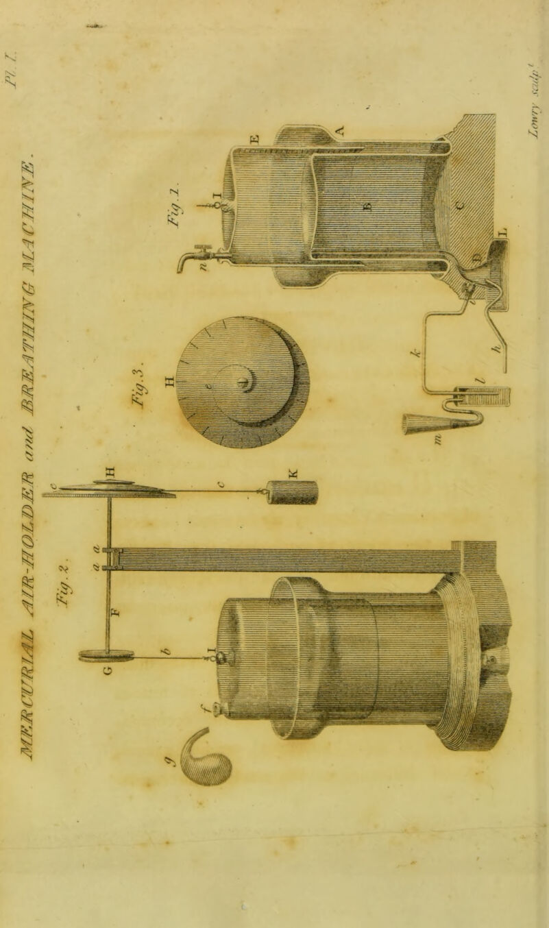 Am-MO.LBM.R cfm/ 3L~iei^fjlNB. %s<' \ Zou'ry sai'i.