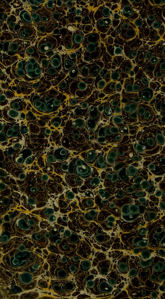 No text description is available for this image